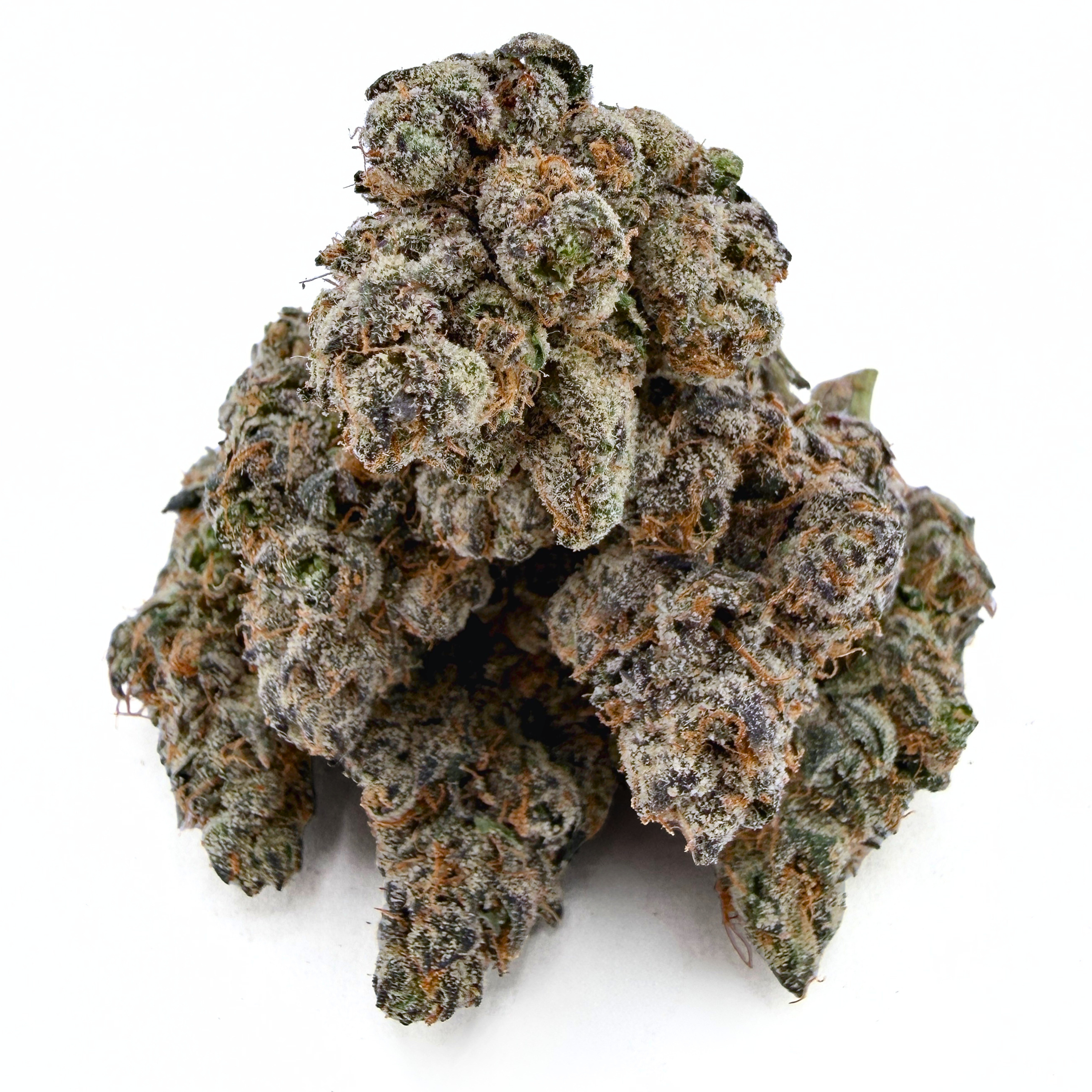 Exotic Birthday Cake (Wholesale)