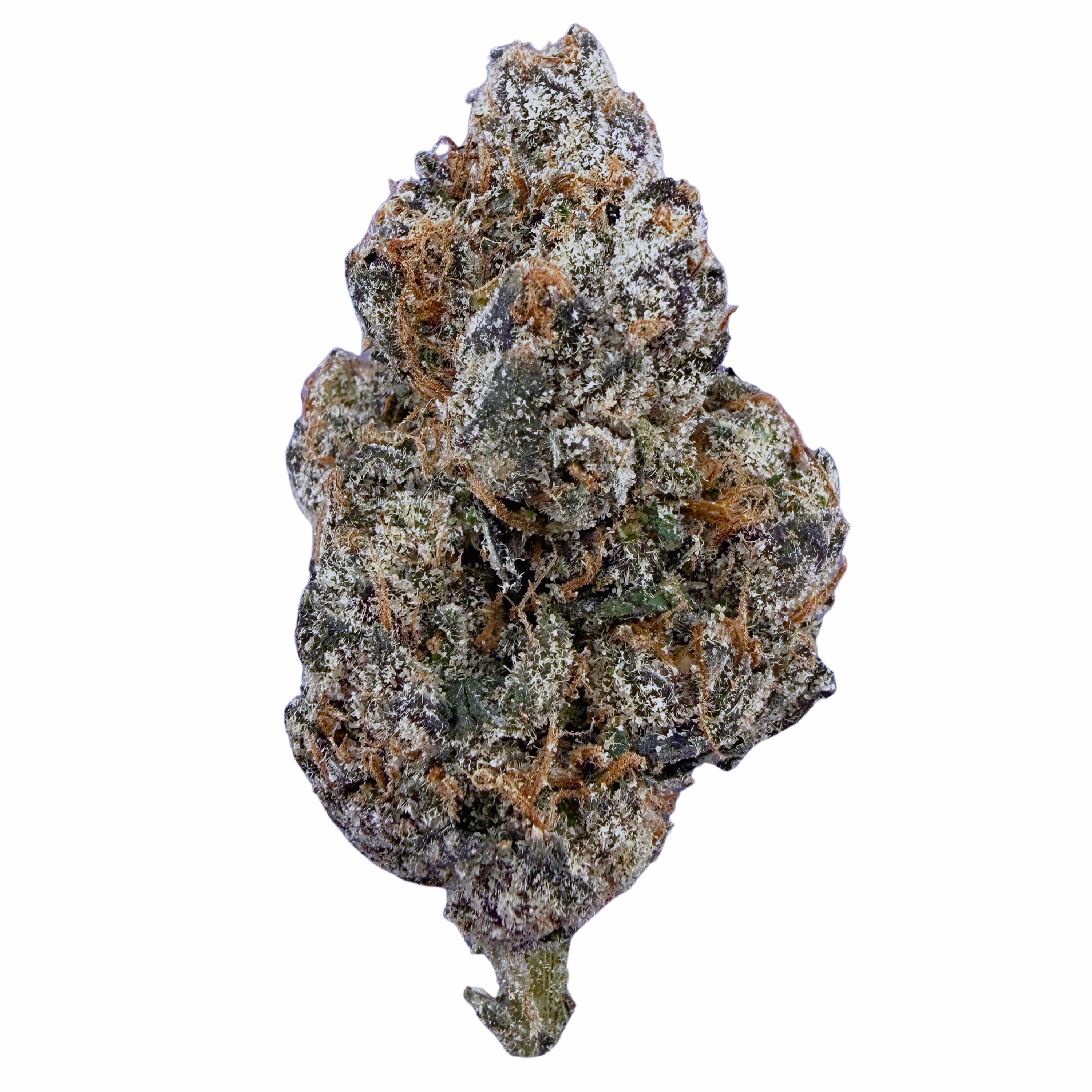 Exotic Birthday Cake (Wholesale)