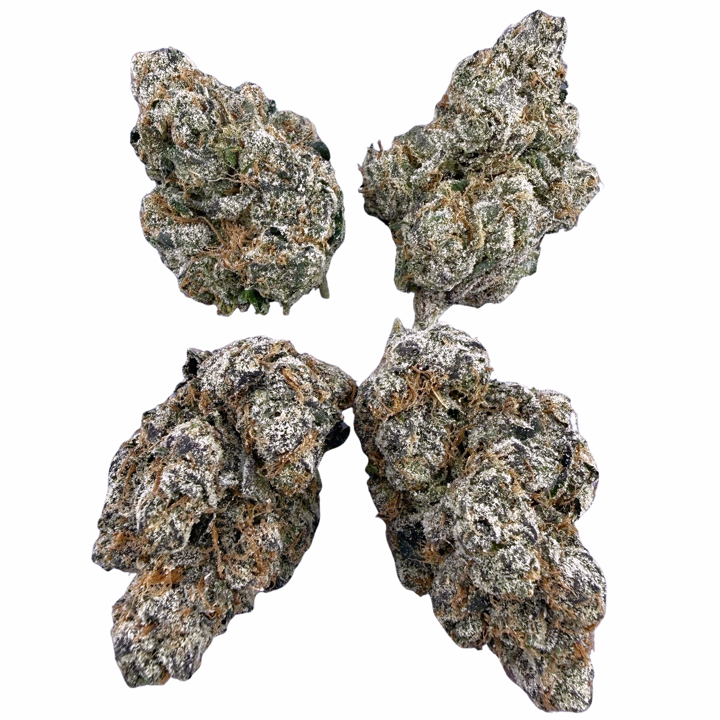 Exotic Birthday Cake (Wholesale)