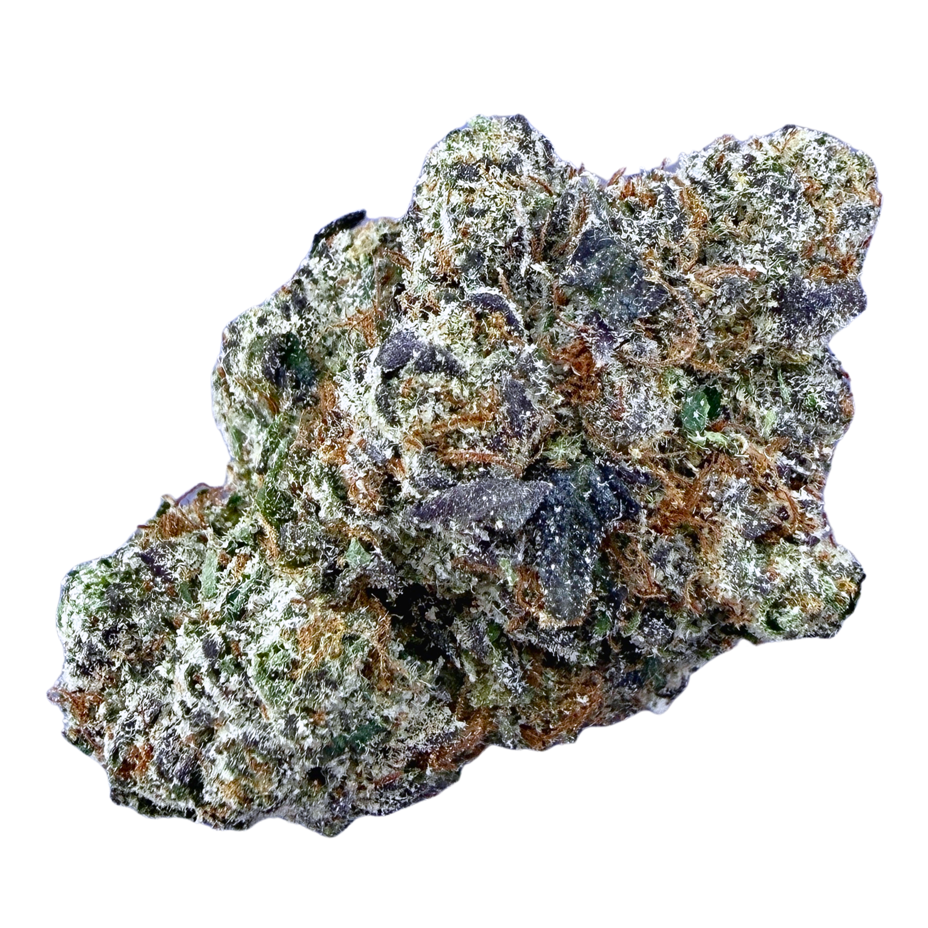 Exotic Black Cherry Gelato