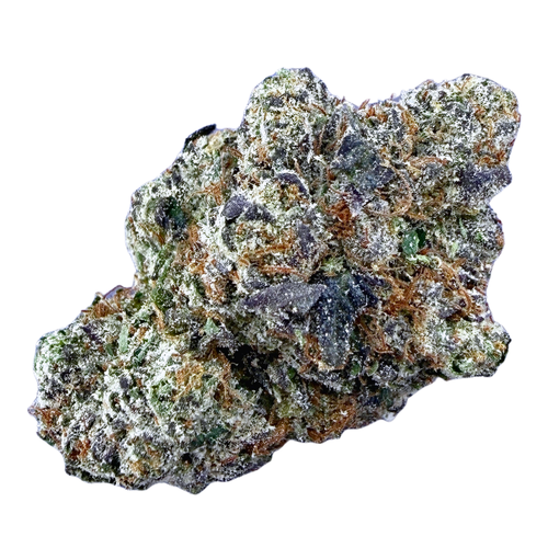 Exotic Black Cherry Gelato