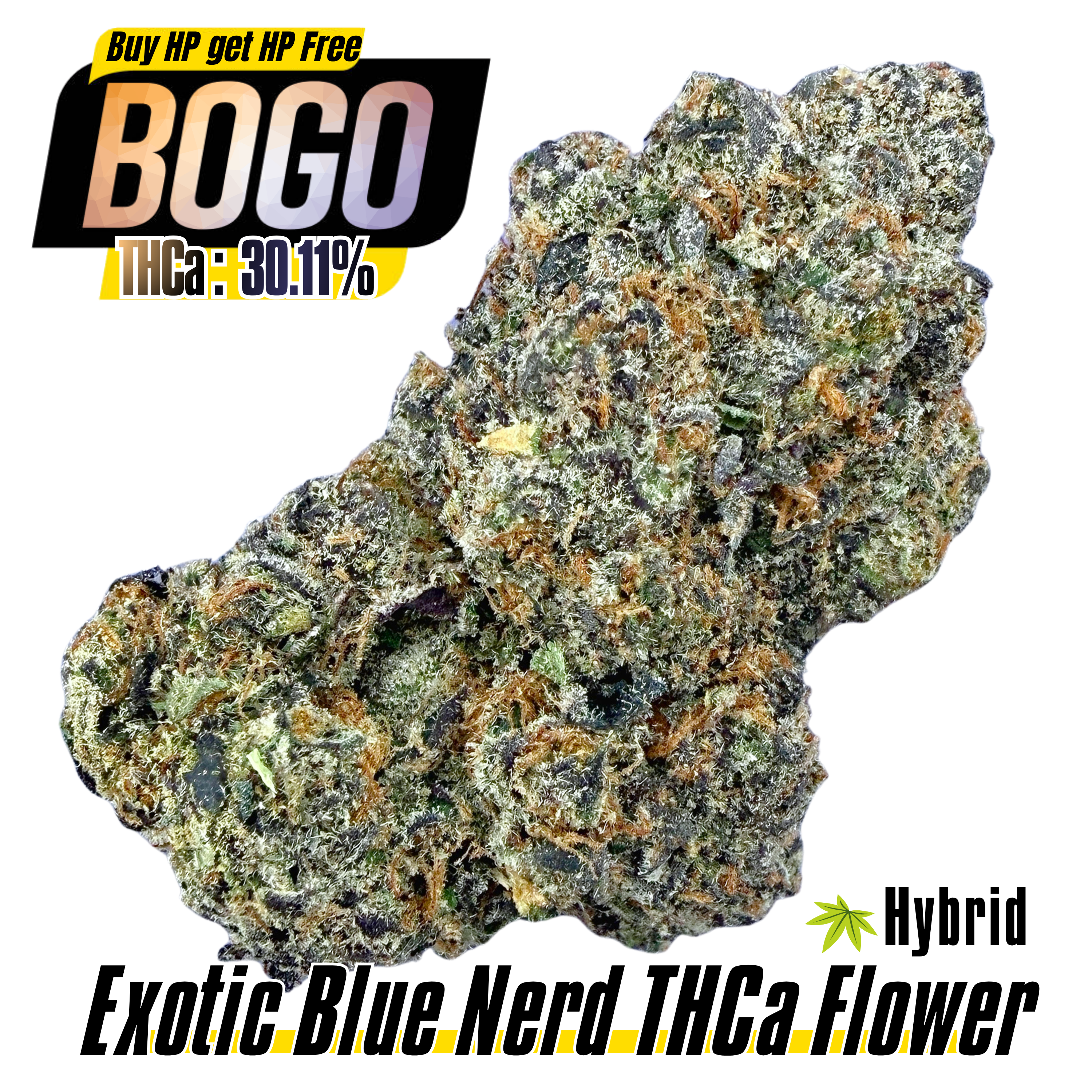 BOGO Bulk: Buy HP get HP🌿Exotic Blue Nerd
