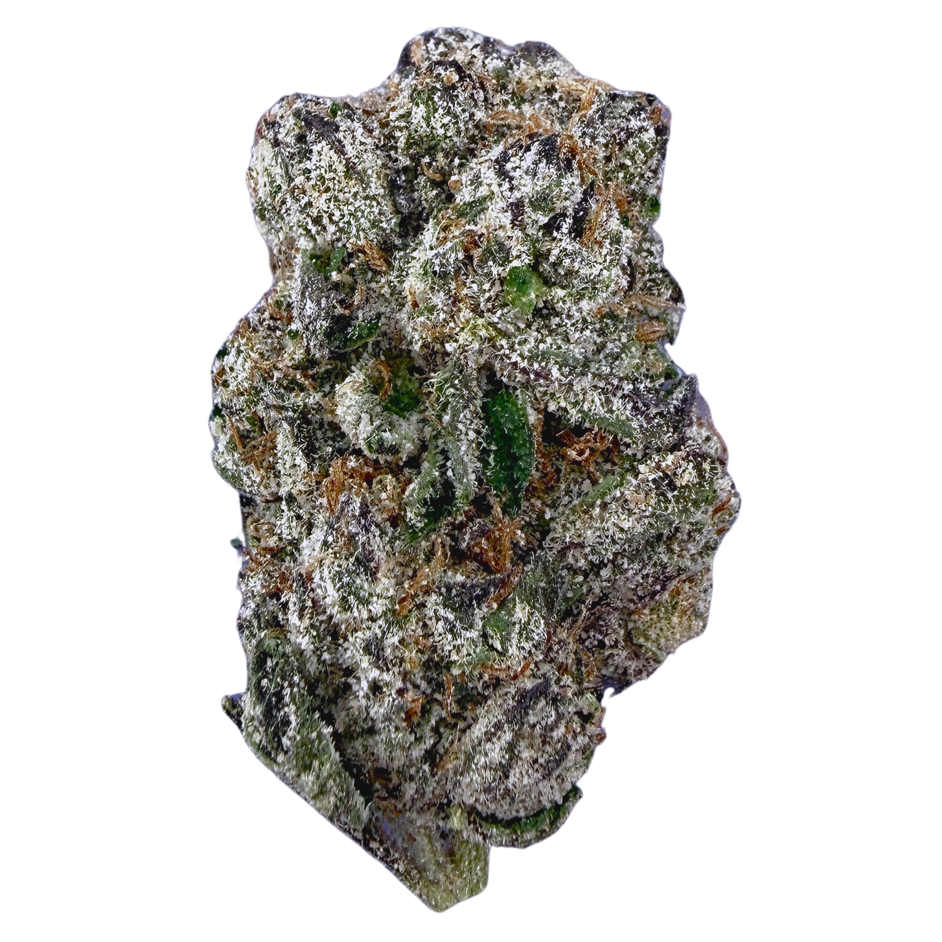 Exotic Bolo Runtz