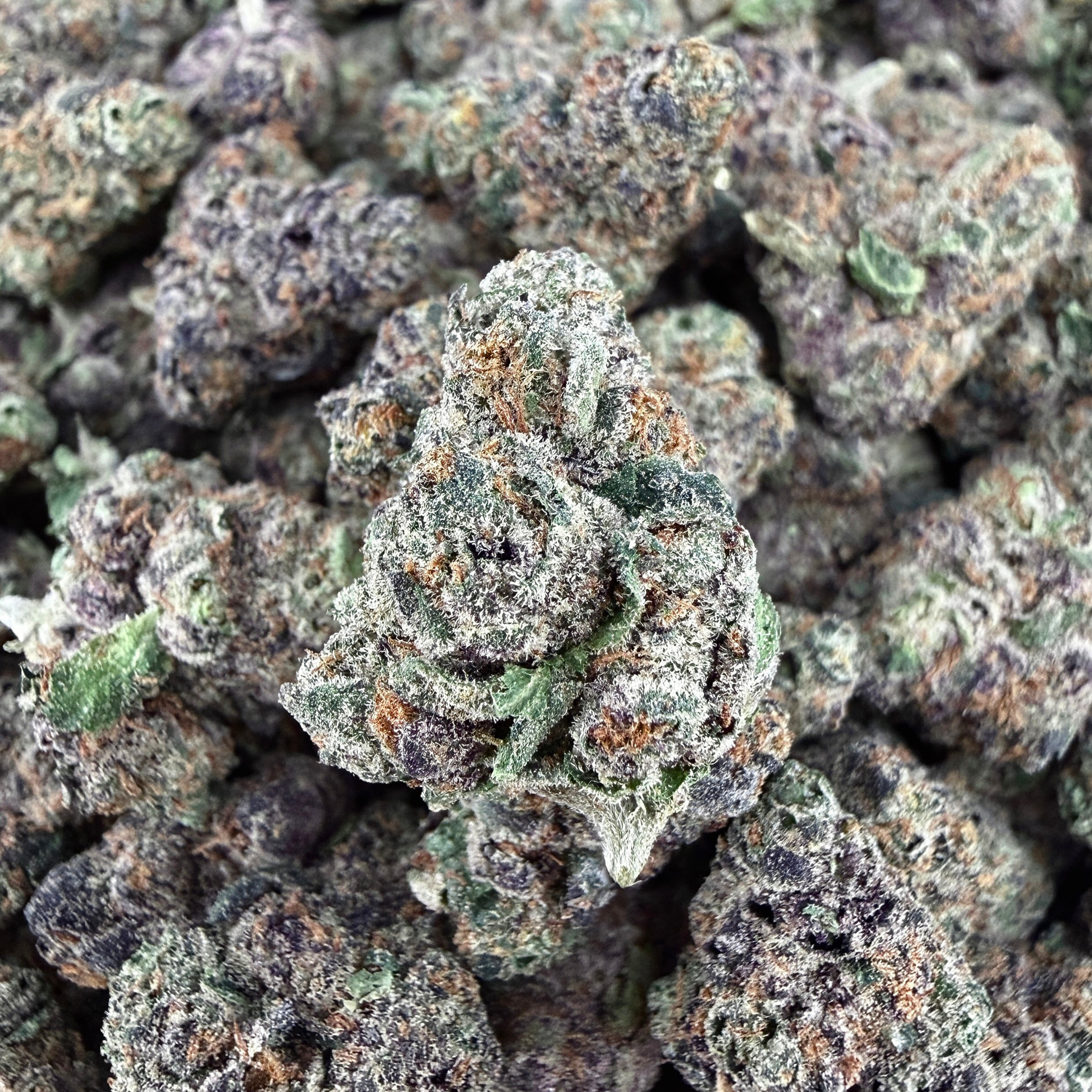 Exotic Citrus Berry THCa Smalls (Wholesale)