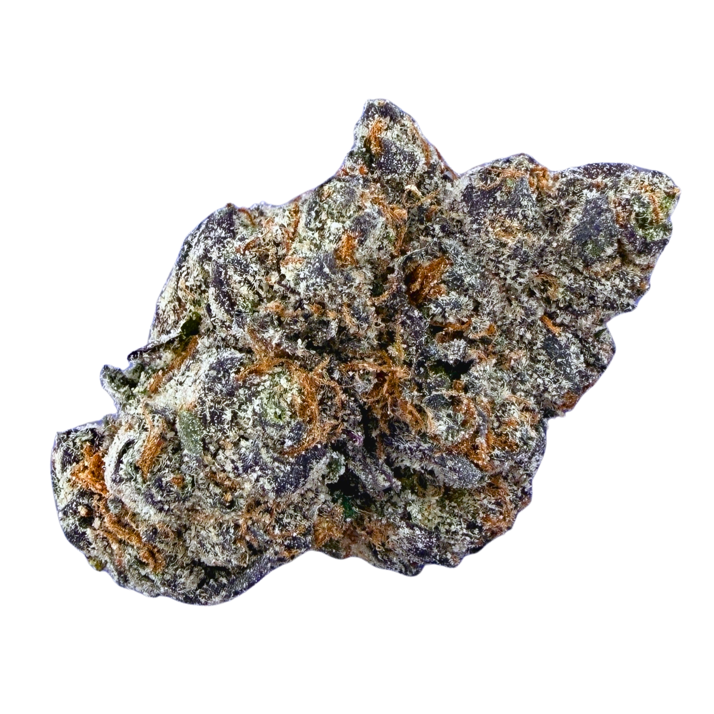 Exotic Gelato 33