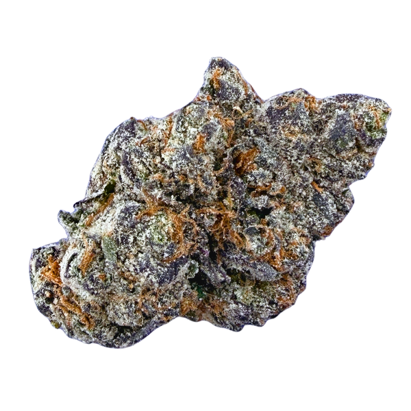 Exotic Gelato 33 (Wholesale)
