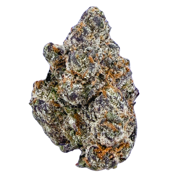 Exotic Gelato 33 (Wholesale)