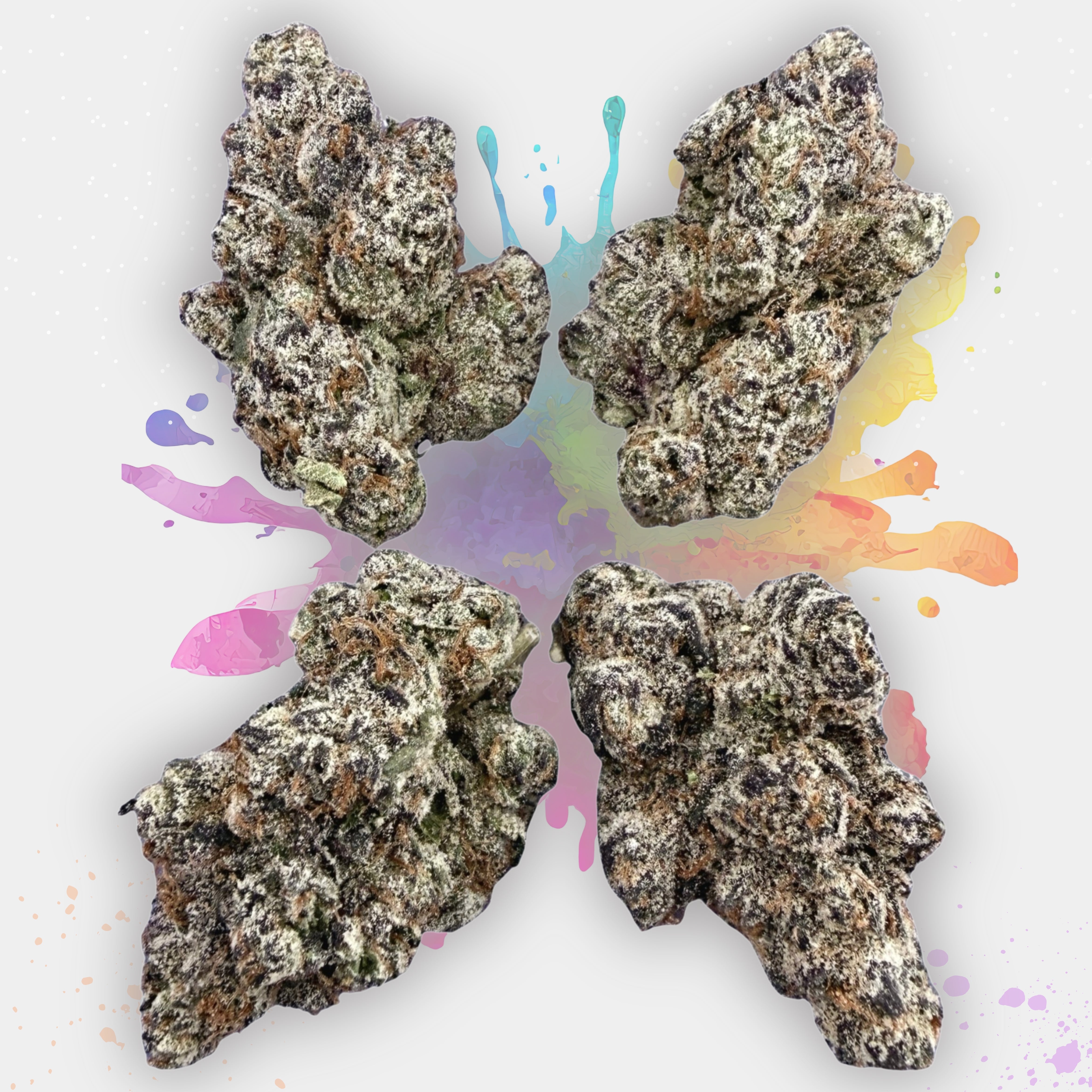 🌿420🌿Wholesale Deals- Exotic Gelato 33 (Indica Hybrid)