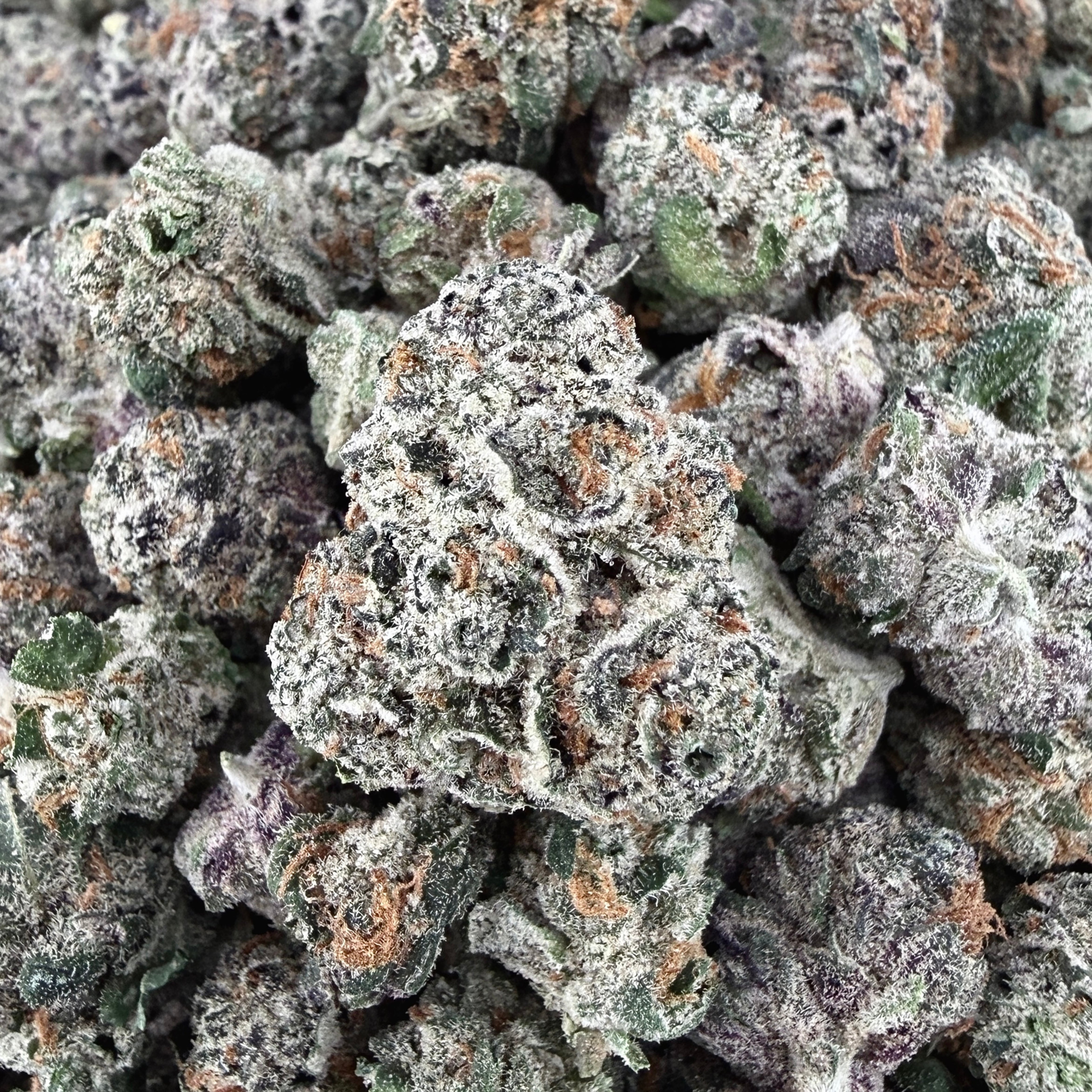 Exotic Gelatti THCa Smalls