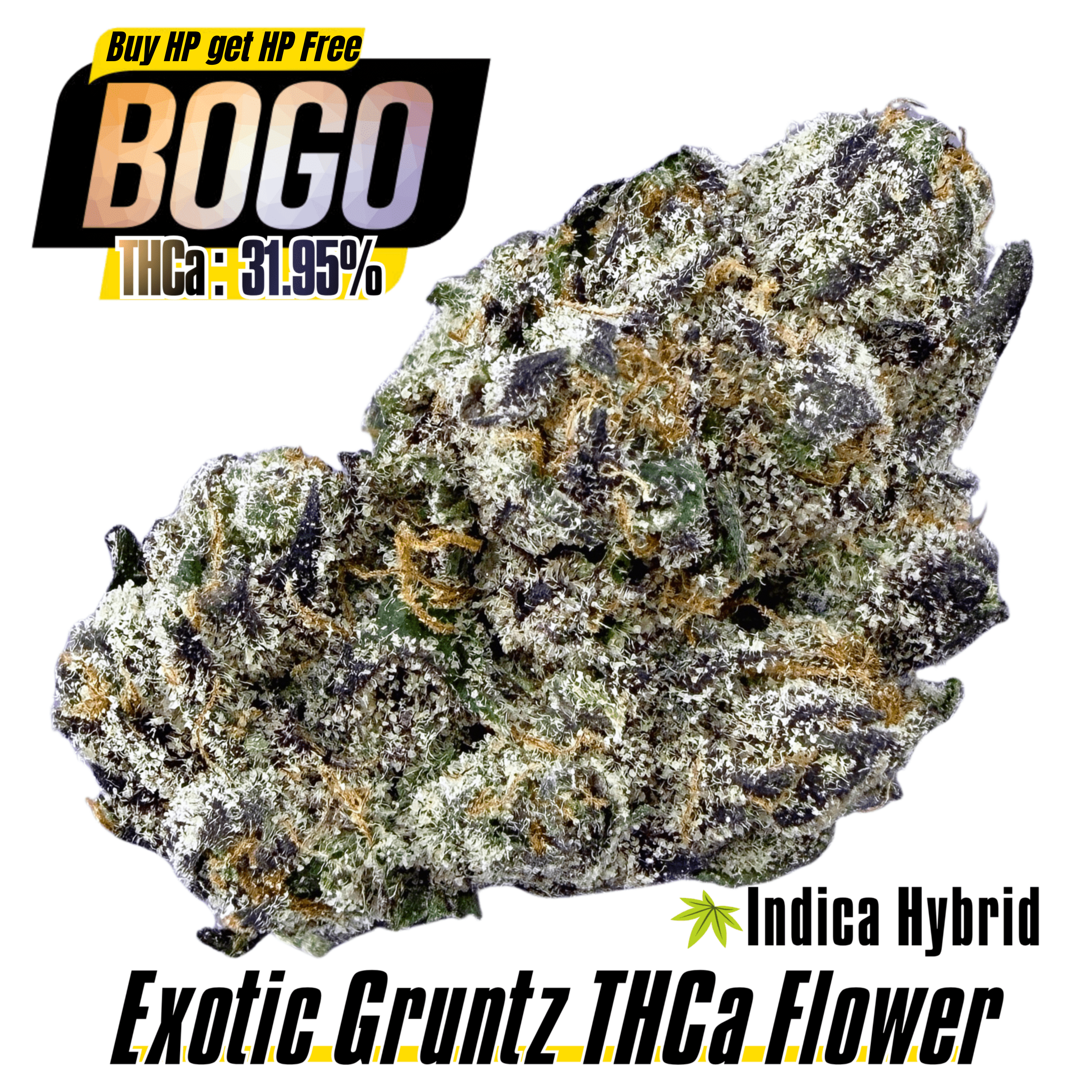 BOGO Bulk: Buy HP get HP🌿Exotic Gruntz