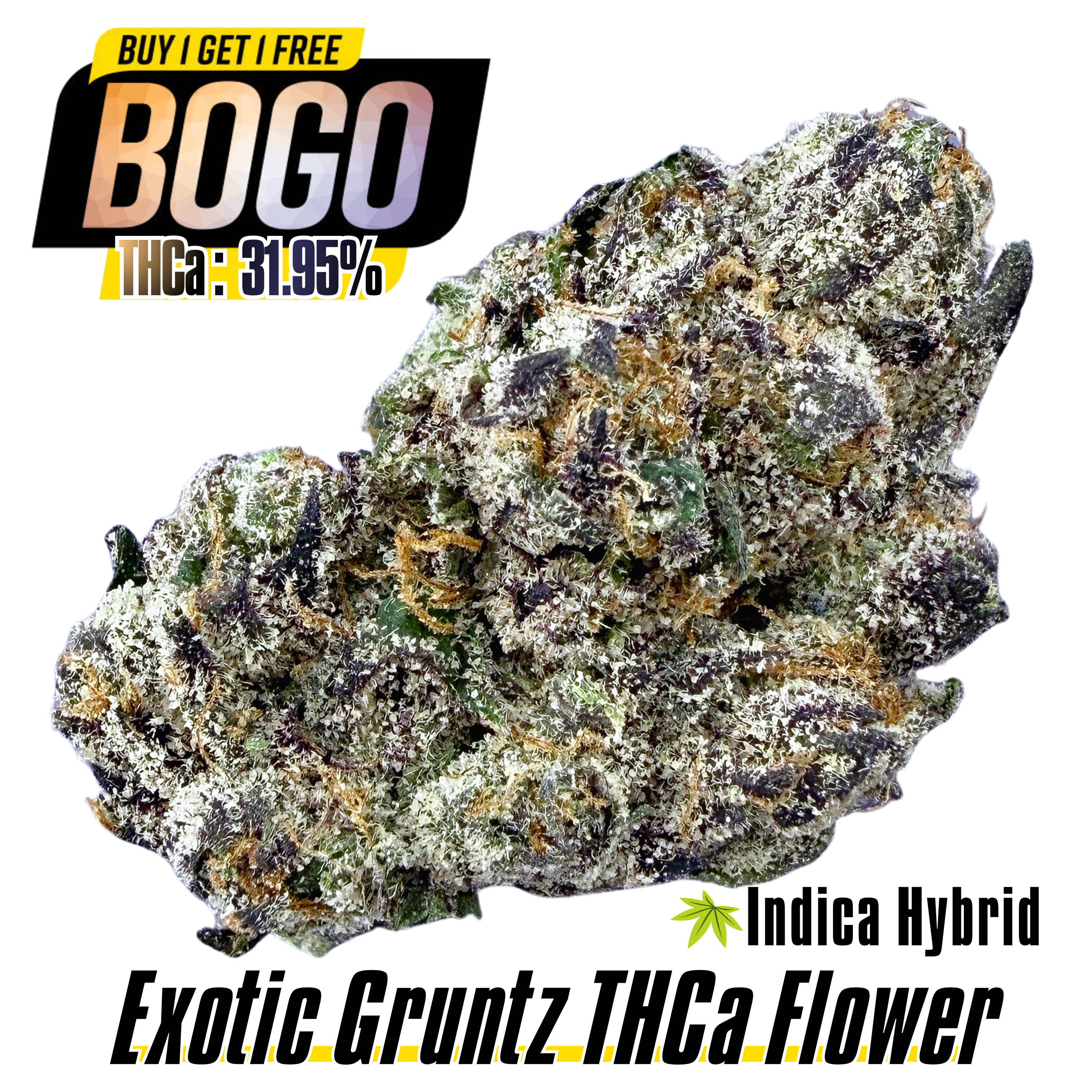 BOGO Bulk: Buy HP get QP🌿Exotic Gruntz