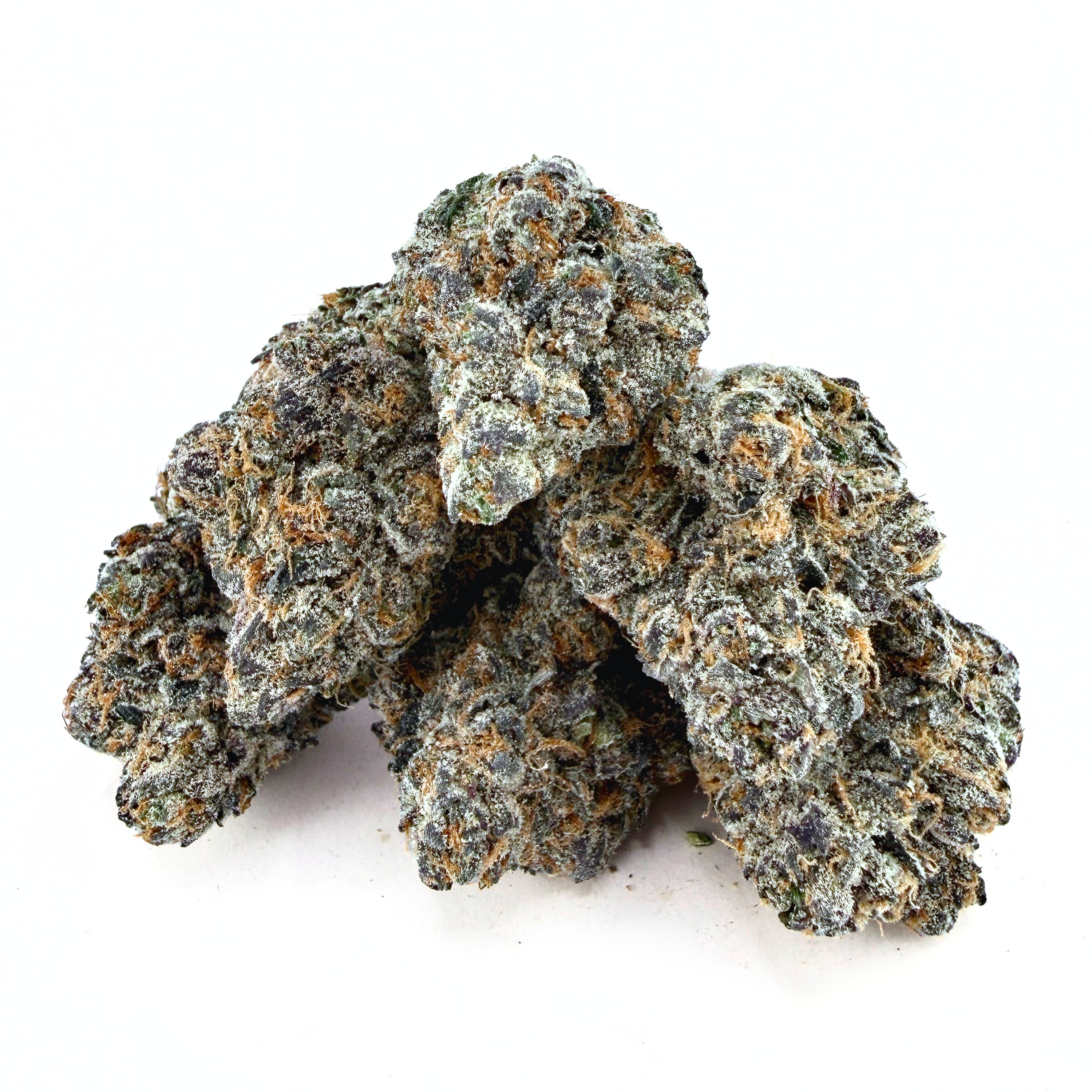 Exotic Gruntz (Wholesale)
