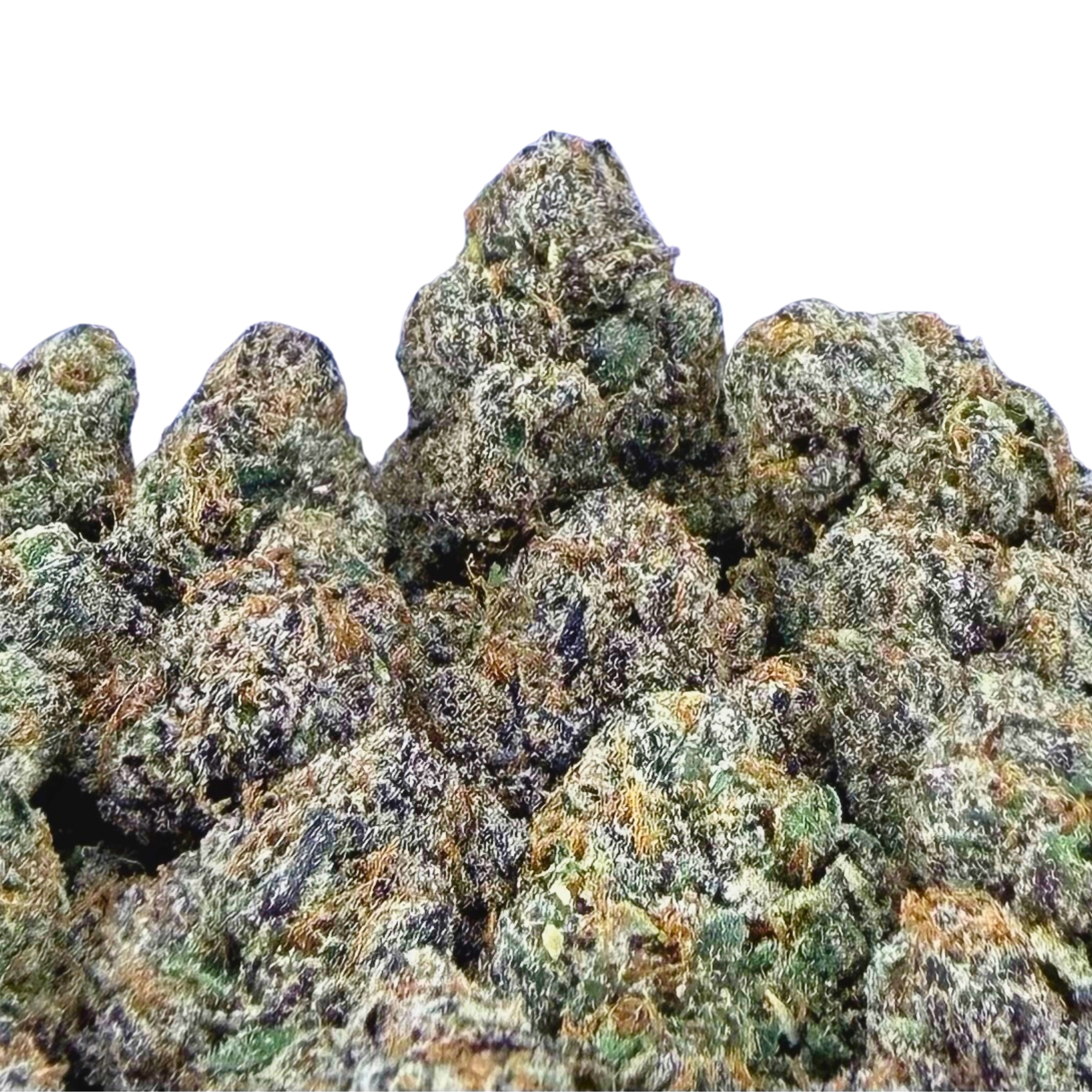 Exotic Pink Runtz ( Wholesale )