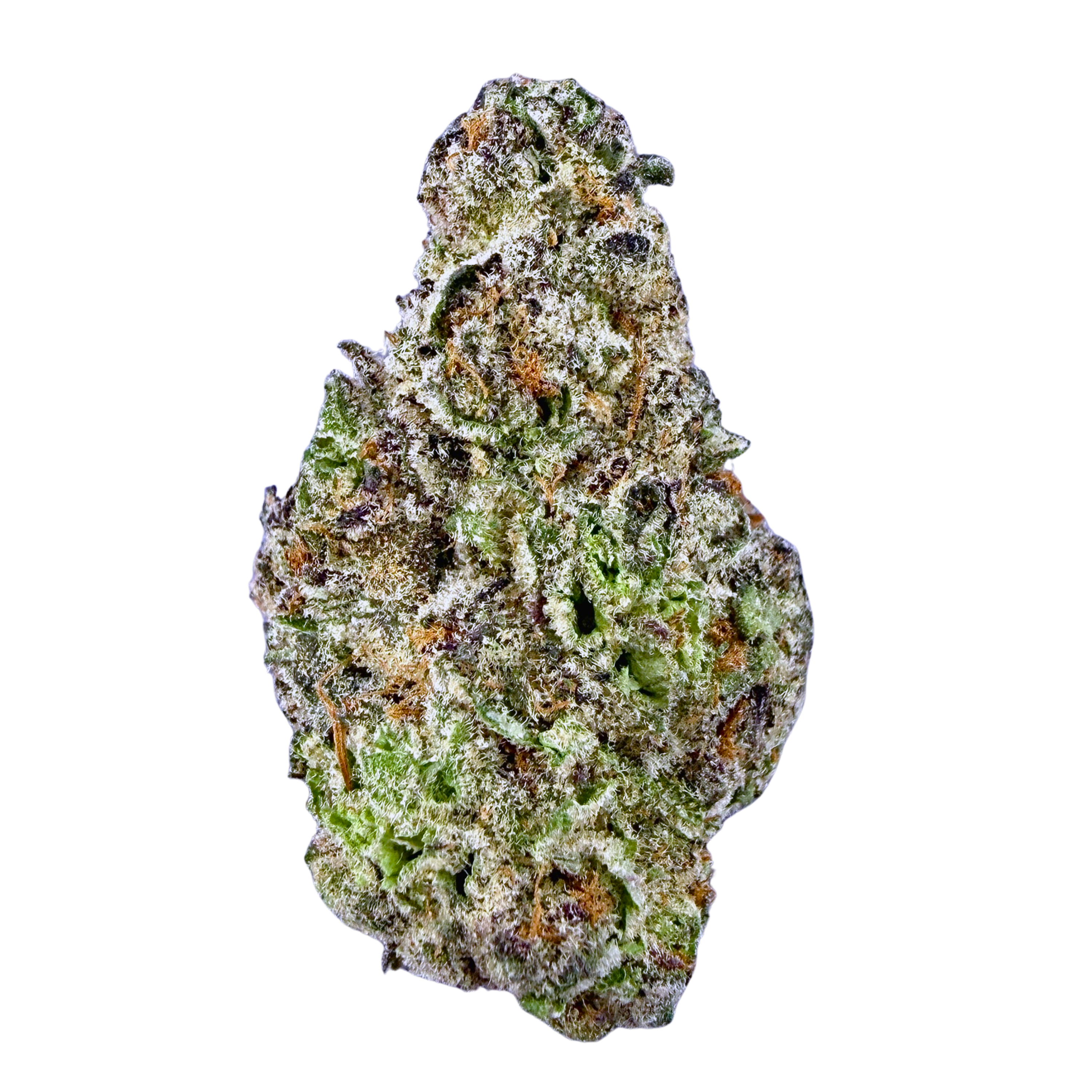 BOGO Bulk: Buy HP get QP🌿Exotic Sherbet