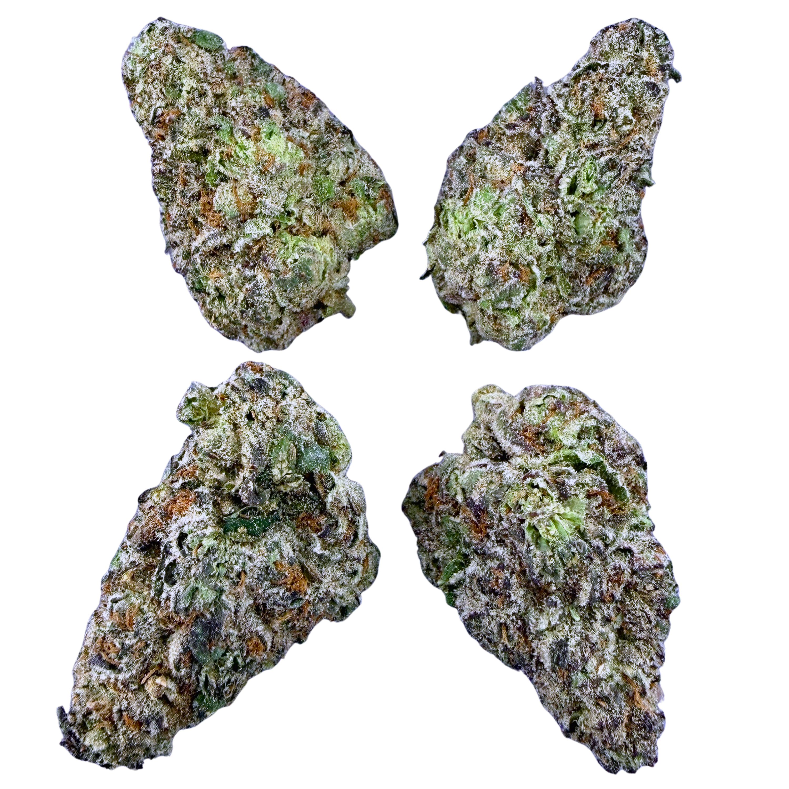 BOGO Bulk: Buy HP get QP🌿Exotic Sherbet