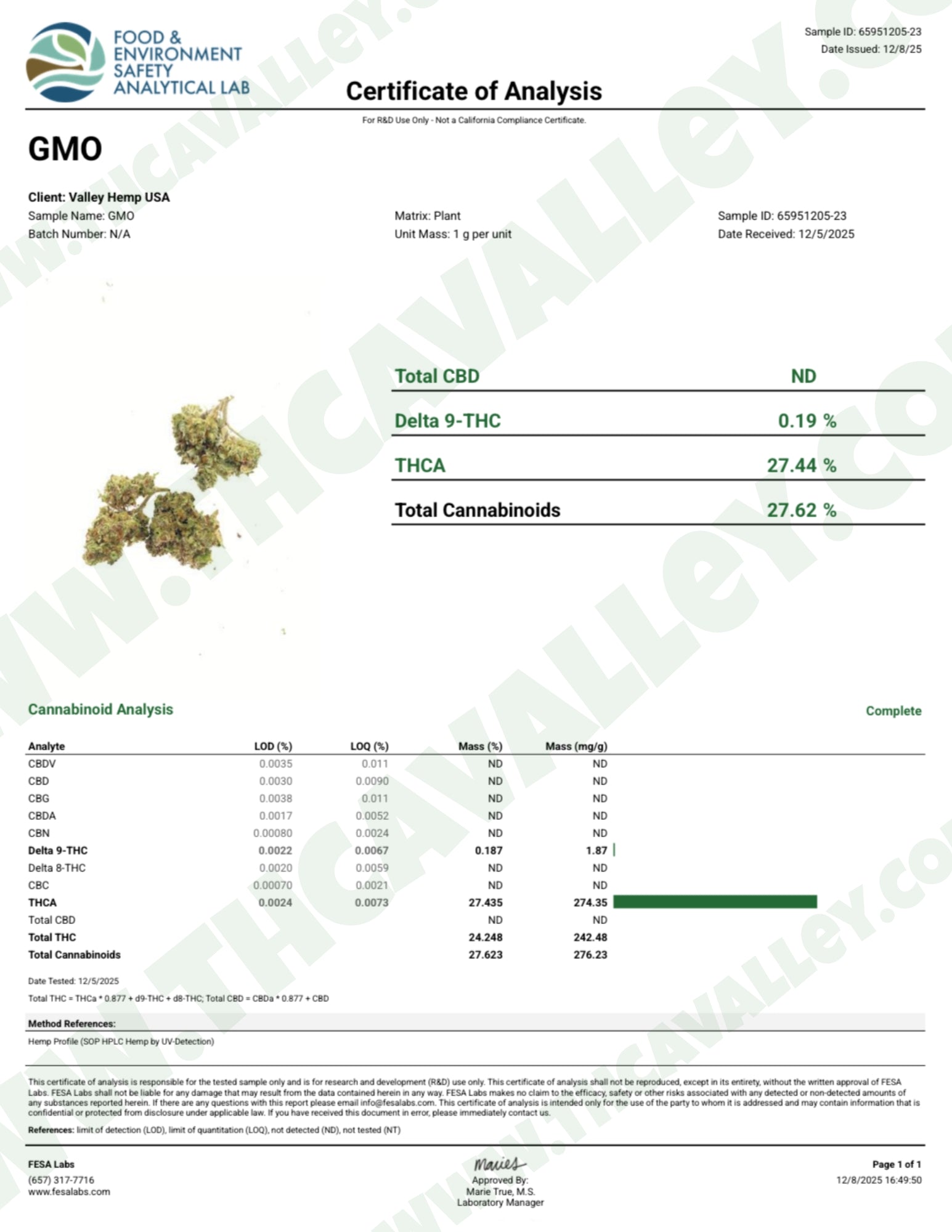 GMO THCa Micro