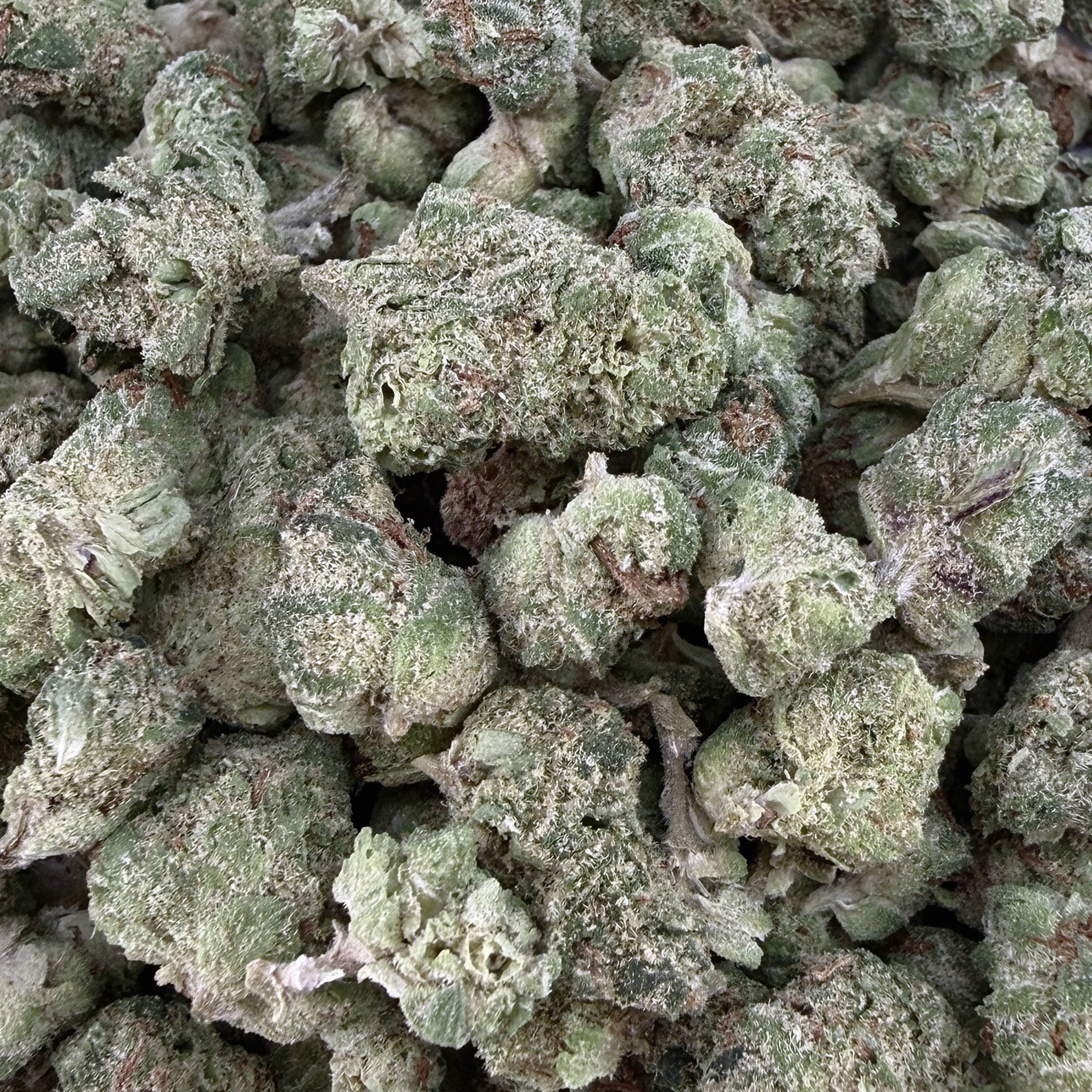 GMO THCa Micro