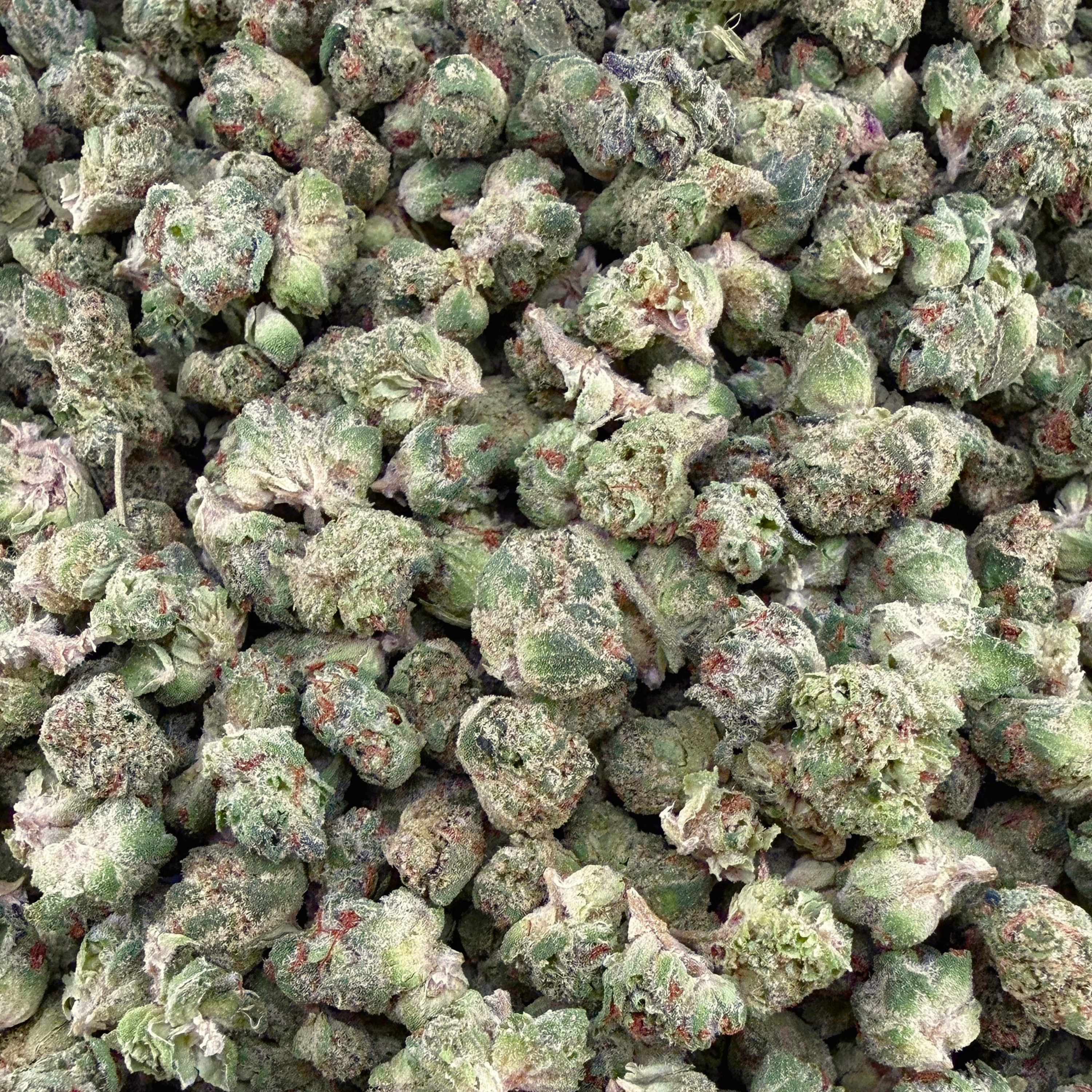 GMO THCa Micro