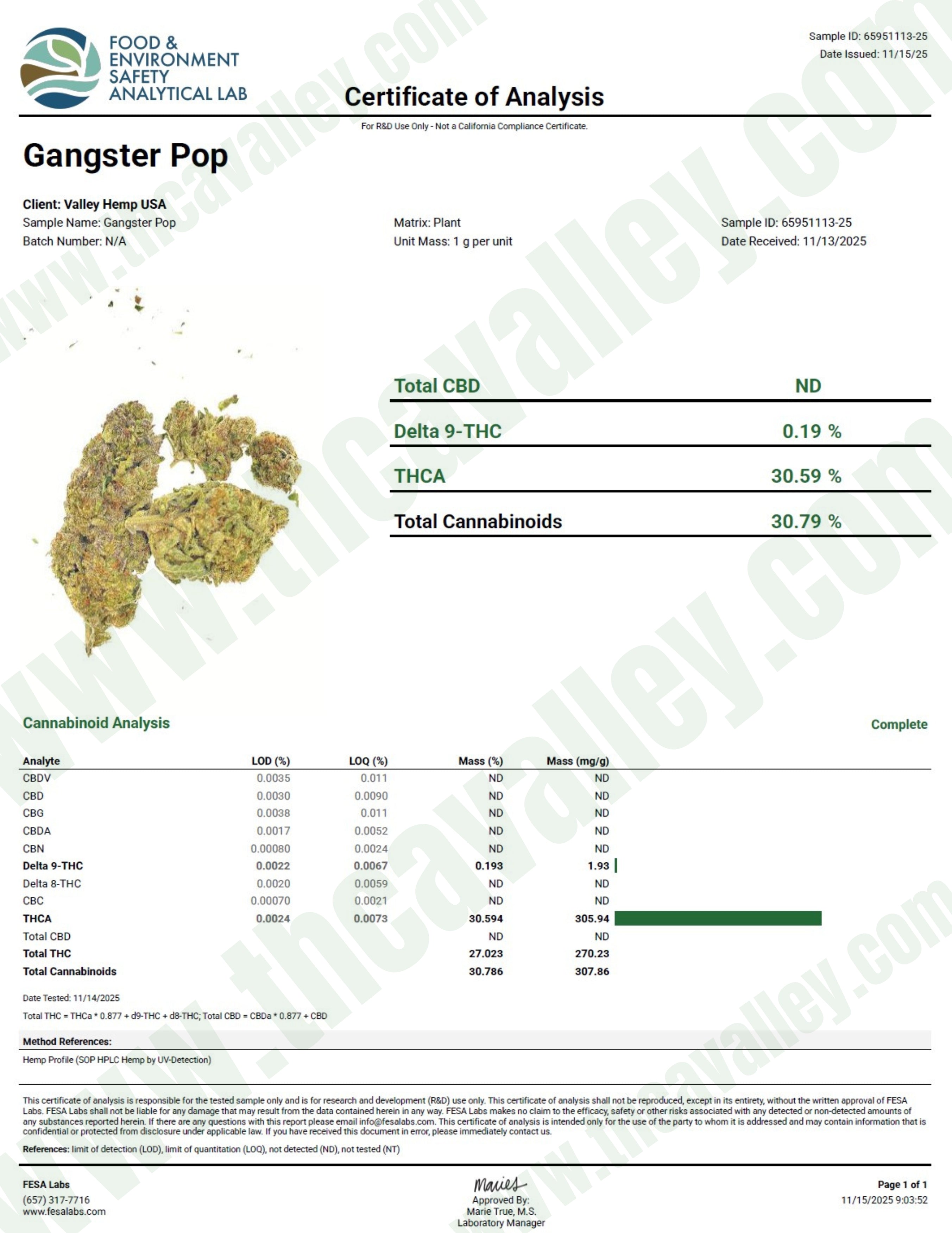Ganster Pop
