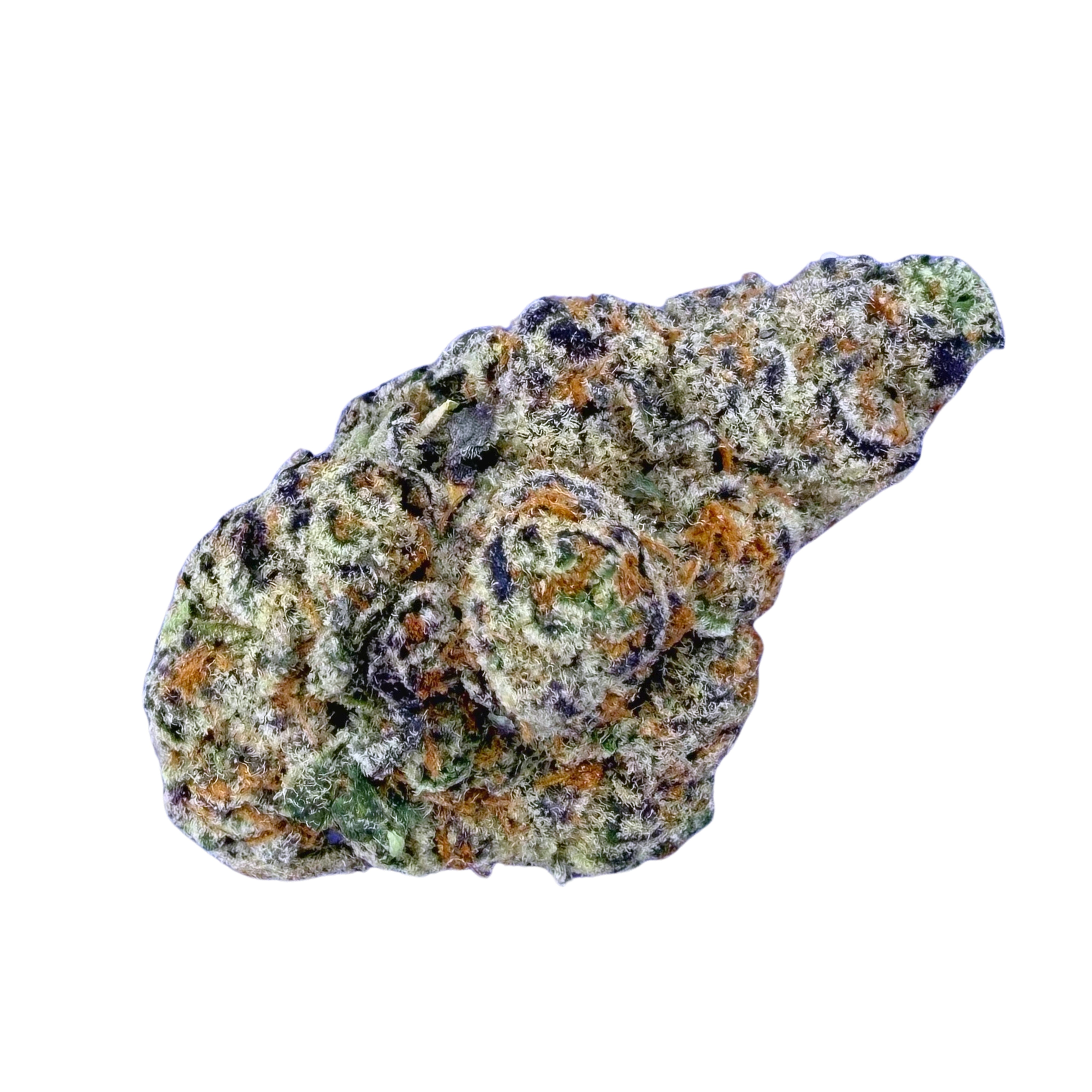 Garllcane (Wholesale)