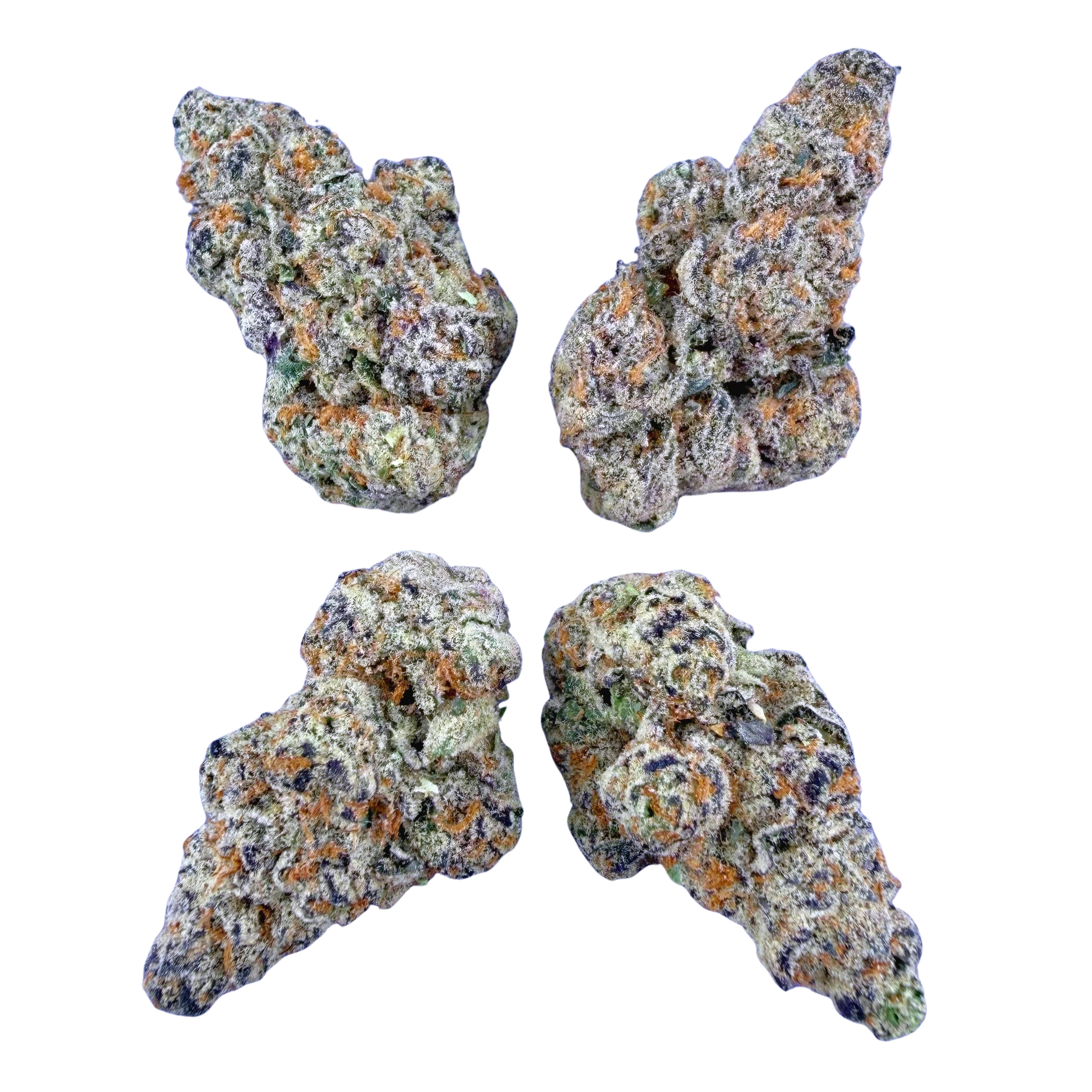 Garllcane (Wholesale)