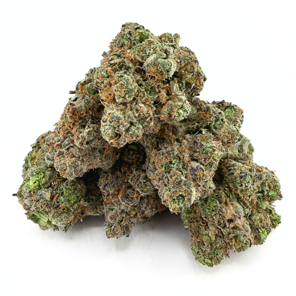 Gelato 33 (Wholesale)