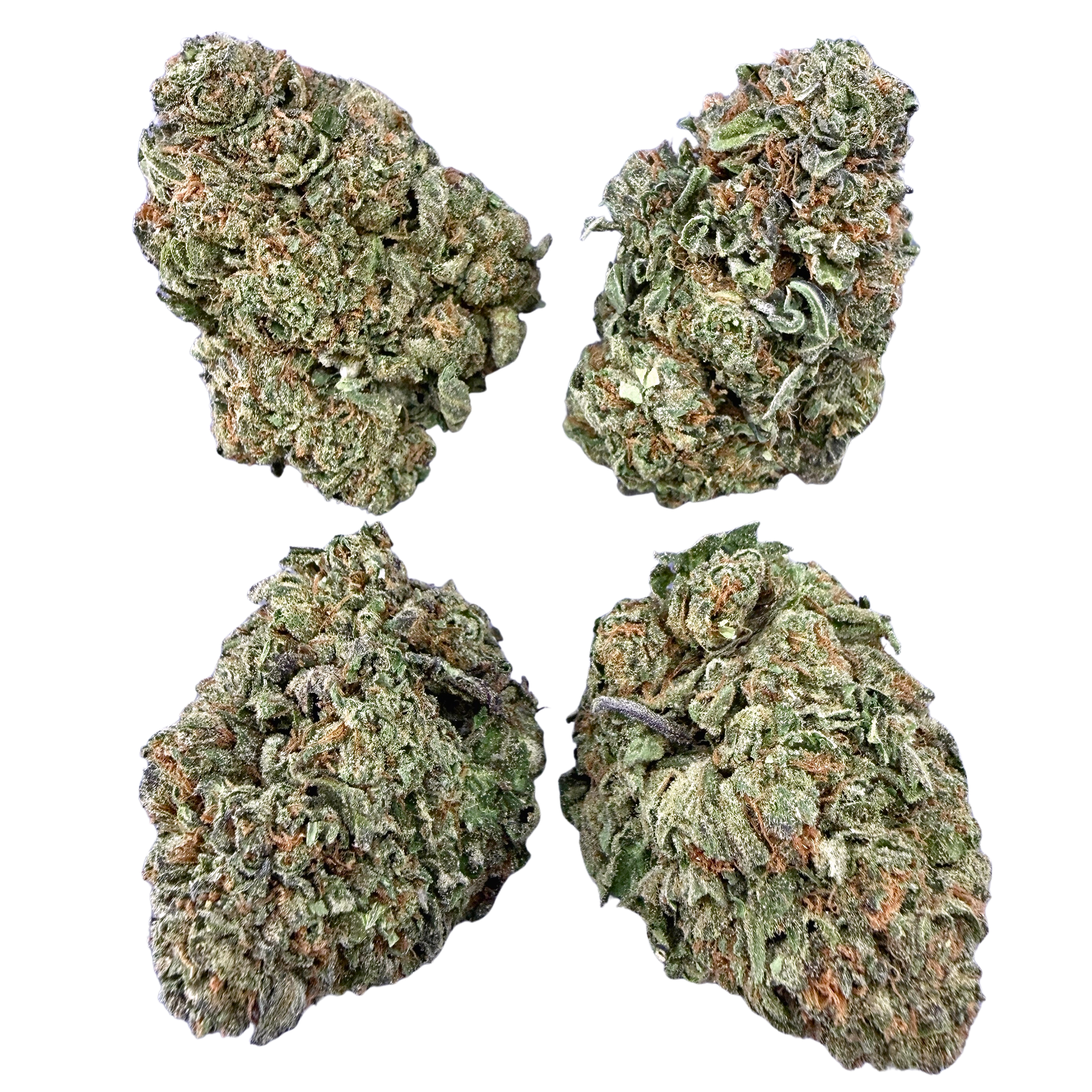 Gelato 33