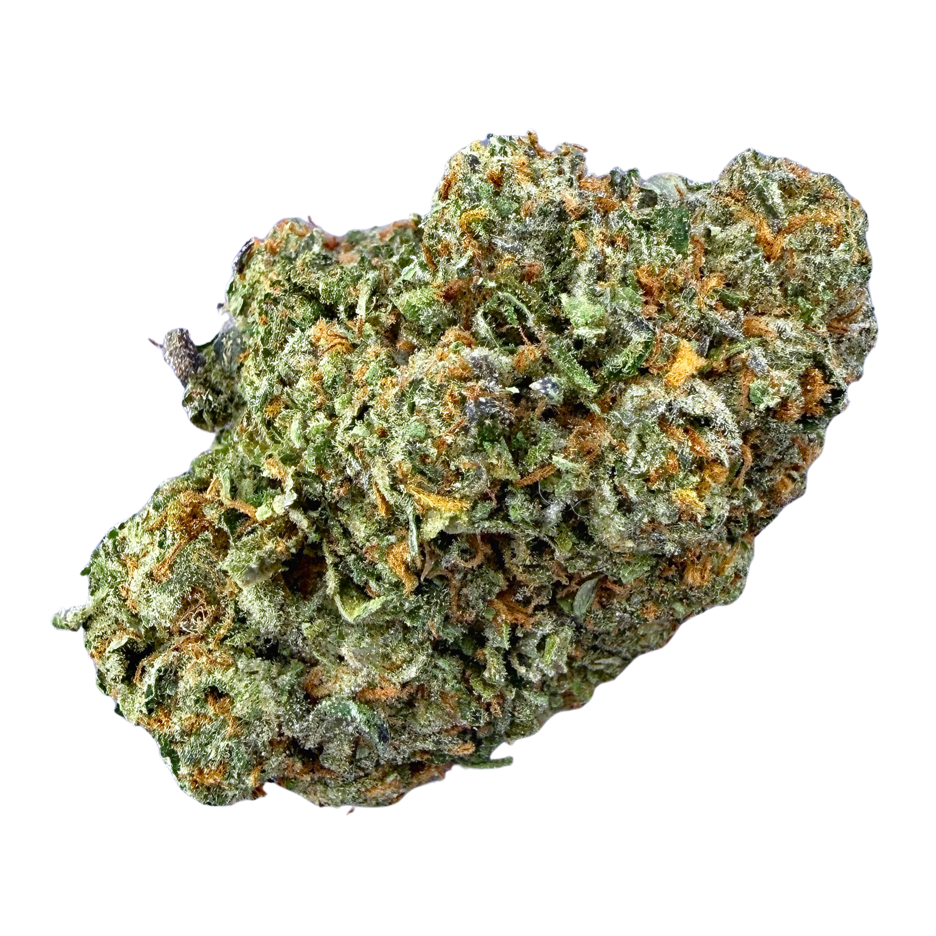 Gelato 41
