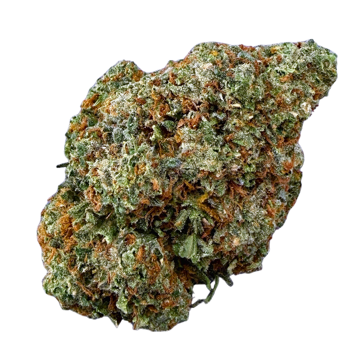 Gelato 41