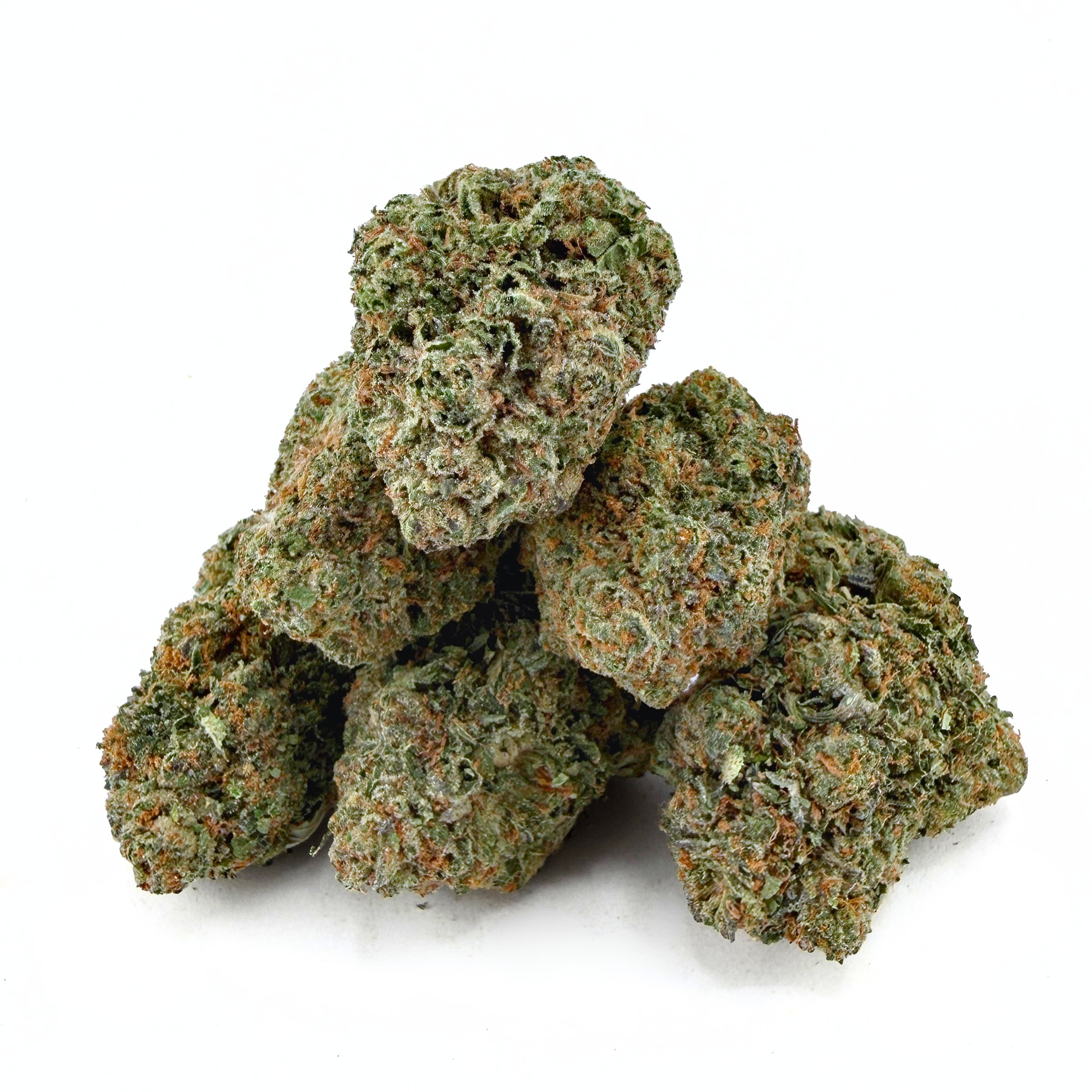 Gelato 41