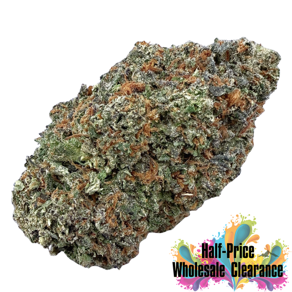 Gelato 41  (Half-Price Wholesale Clearance)