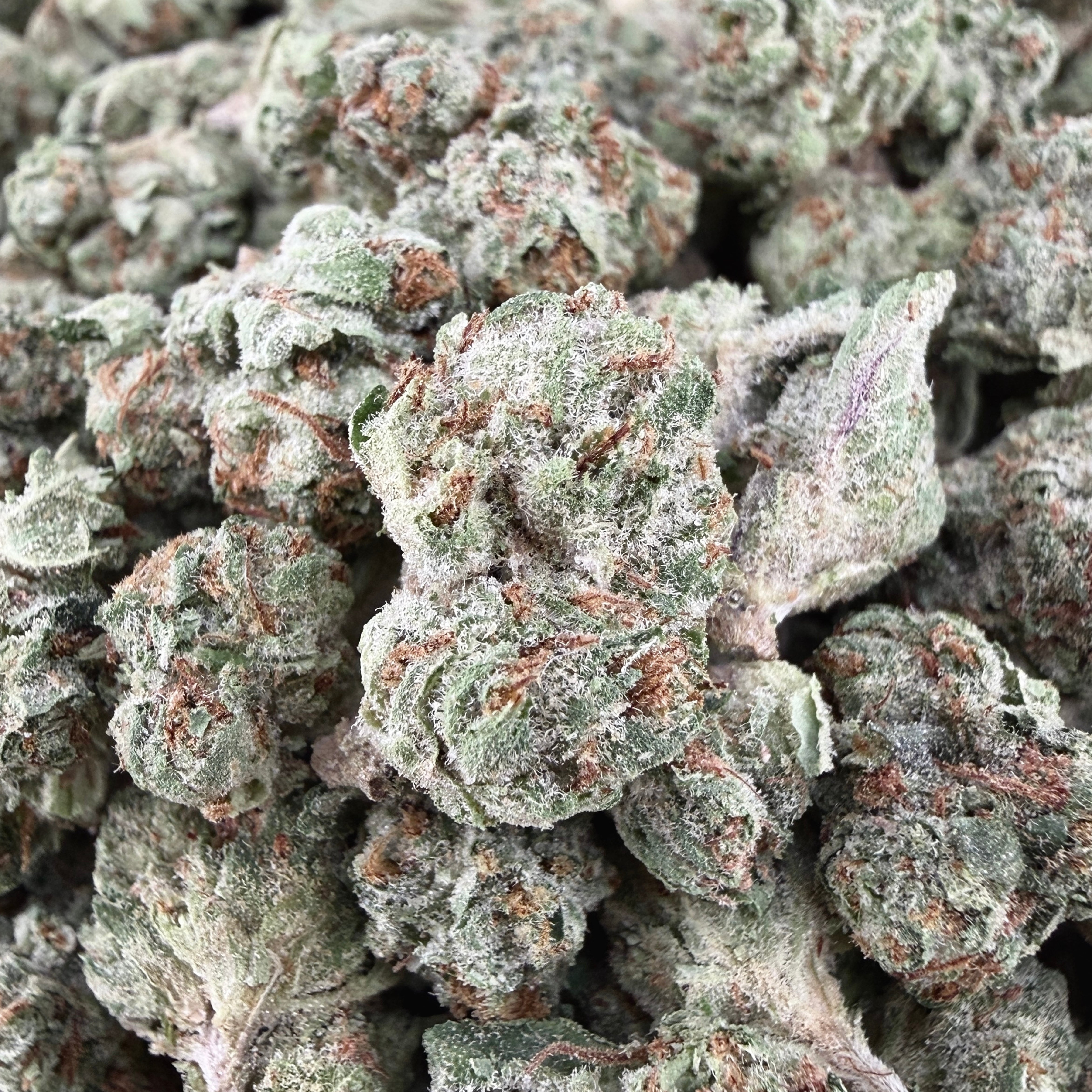 Gelato 41 THCa Smalls