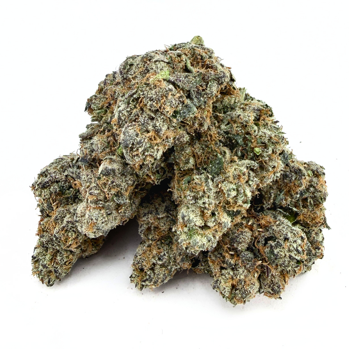 Gelato 45