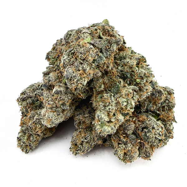 Gelato 45 (Wholesale)
