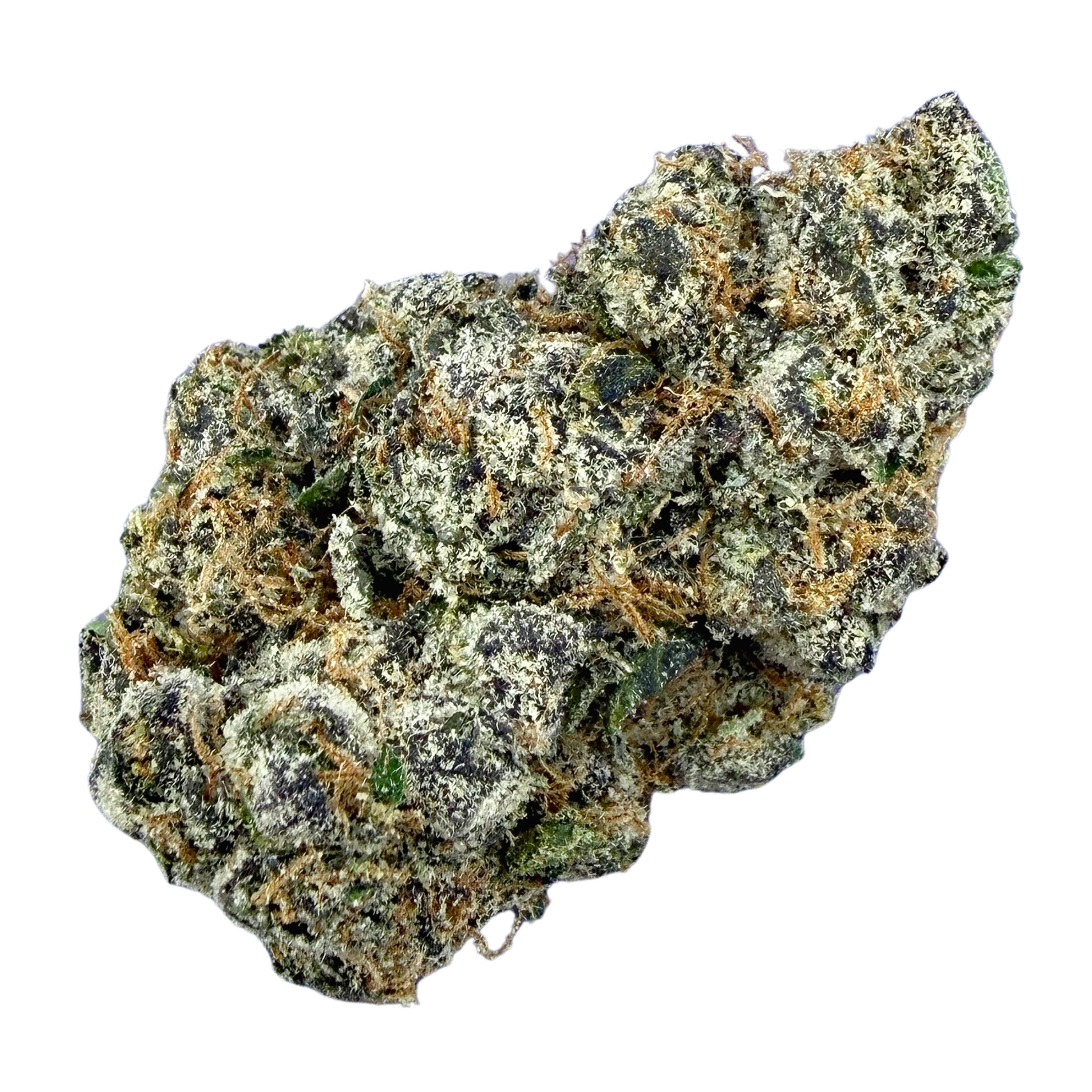 Gelato 45