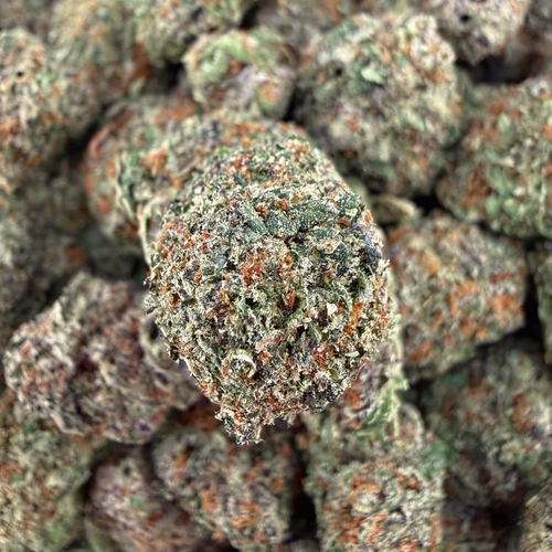 Gelato 45 THCa Smalls