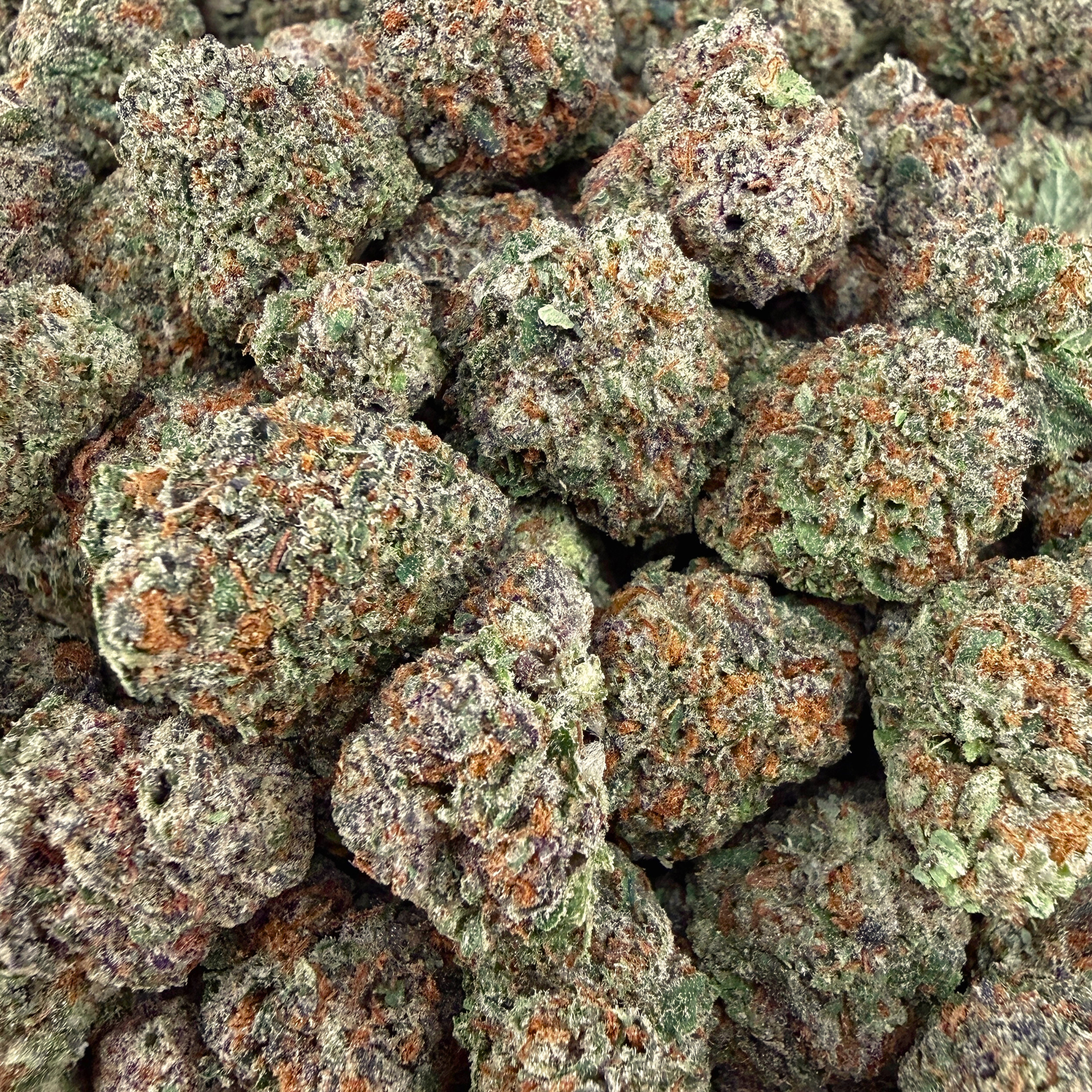 Gelato 45 THCa Smalls