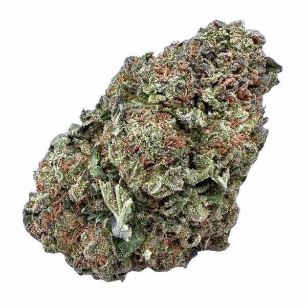 Gelato 45