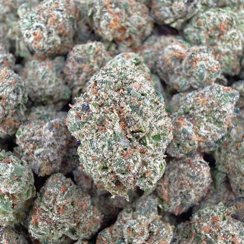 Gelatti THCa Smalls