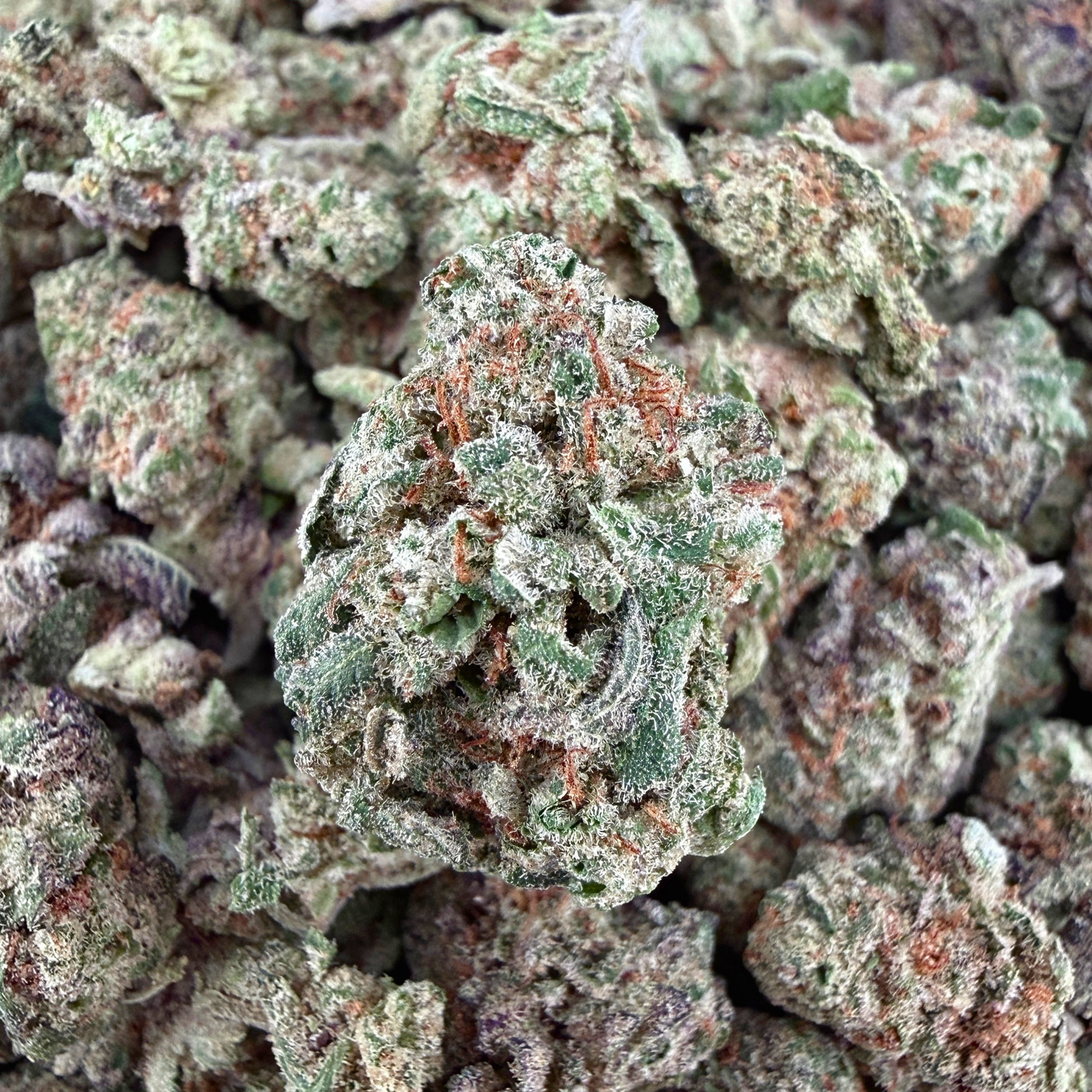 Glitter Bomb THCa Smalls (Wholesale)