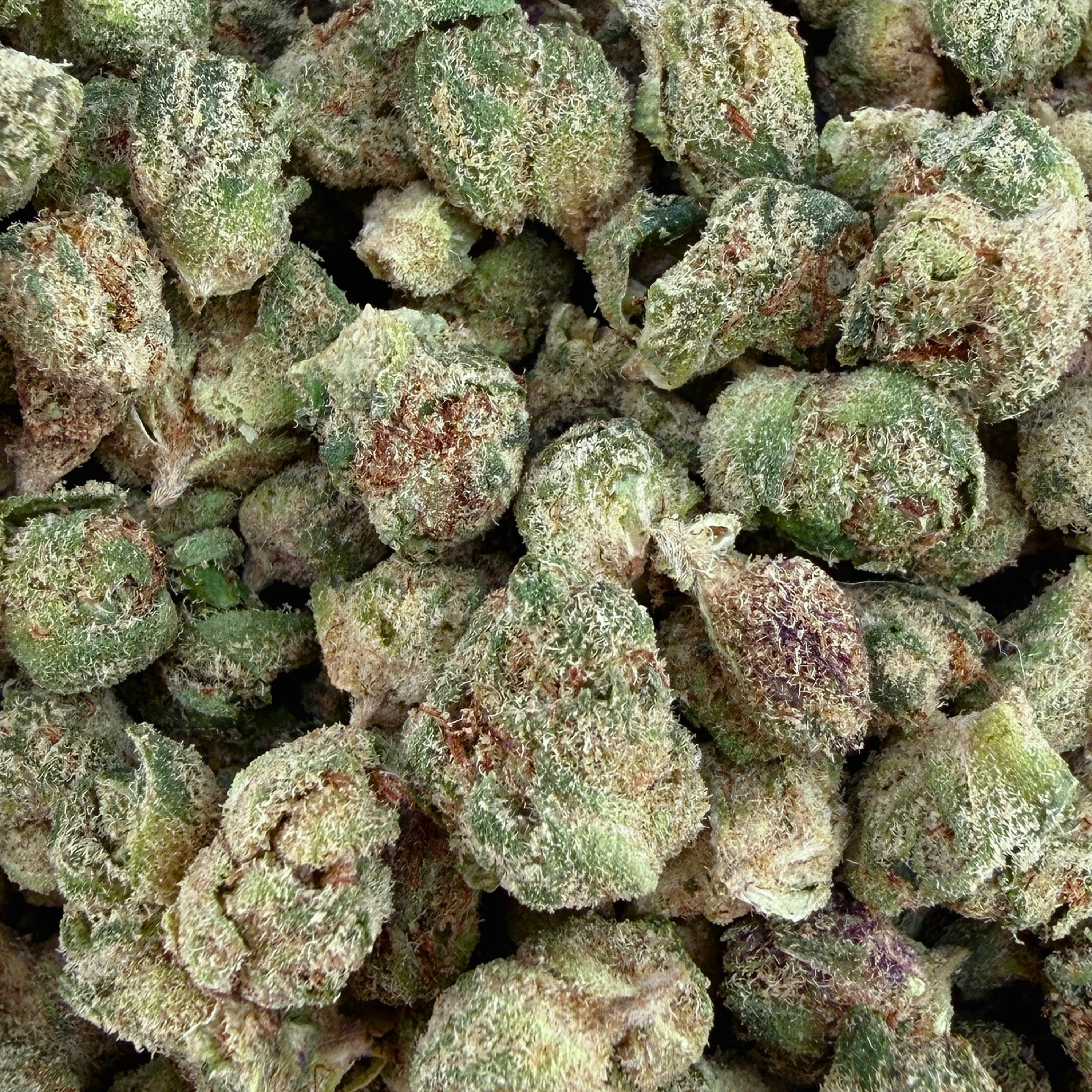 Grandaddy Purple THCa Micro (Half-Price Wholesale Clearance)