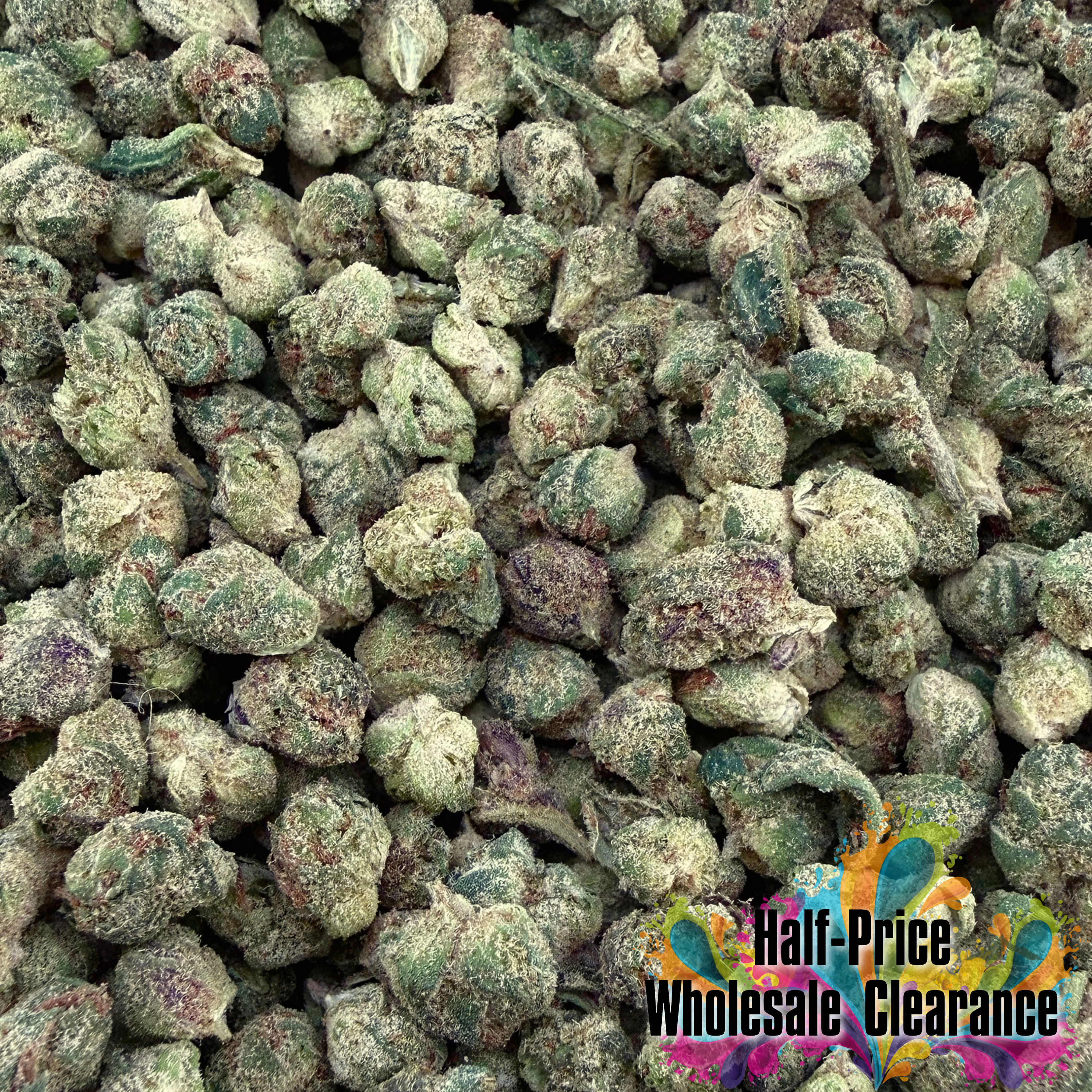 Grandaddy Purple THCa Micro (Half-Price Wholesale Clearance)