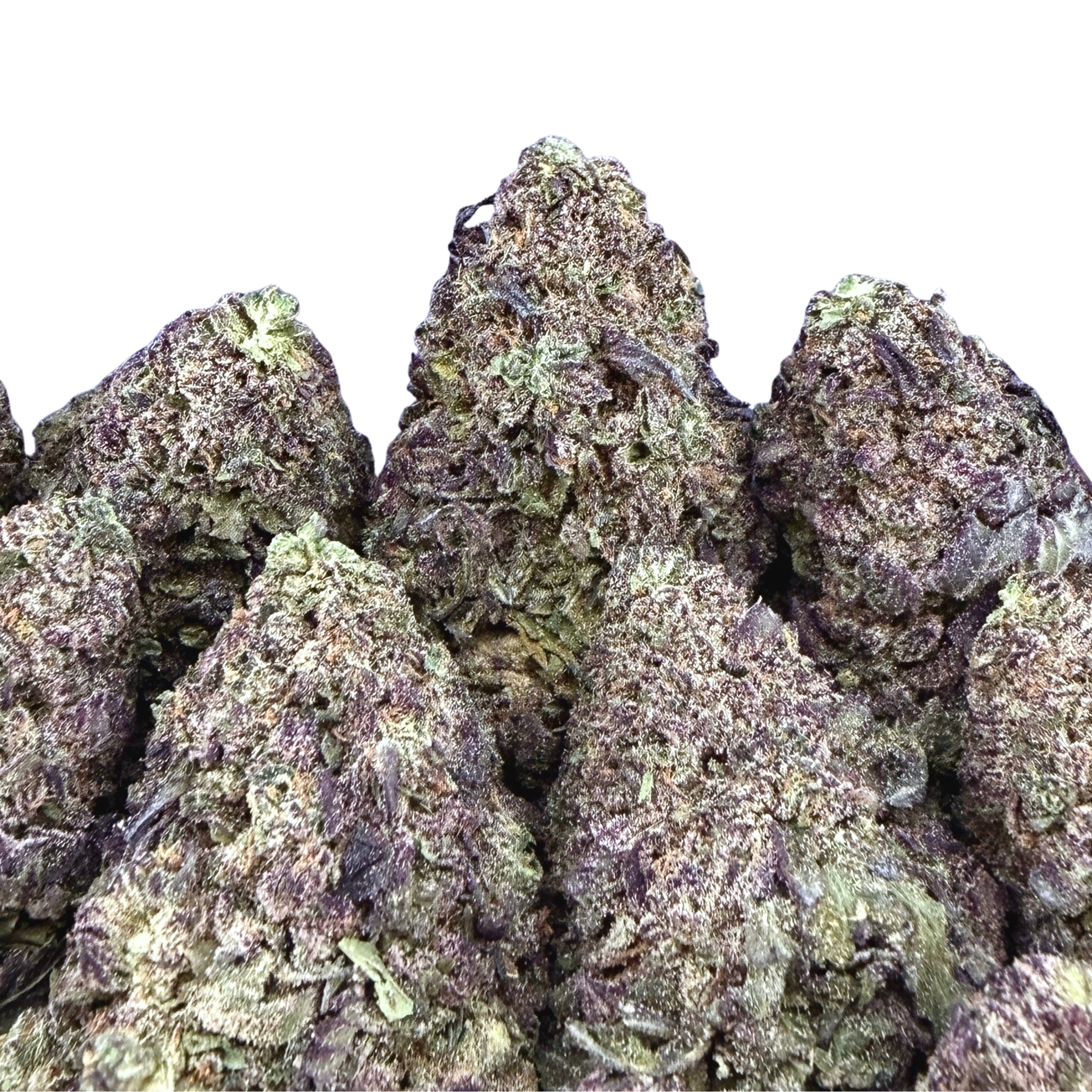 Ice Cream Cake (Wholesale)