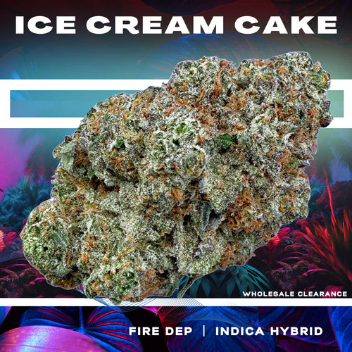 Ice Cream Cake (Wholesale Clearance)