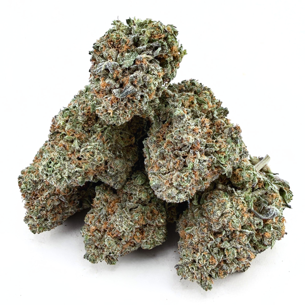 Ice Cream Cake (Wholesale)