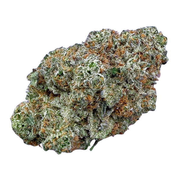 Ice Cream Cake (Wholesale)