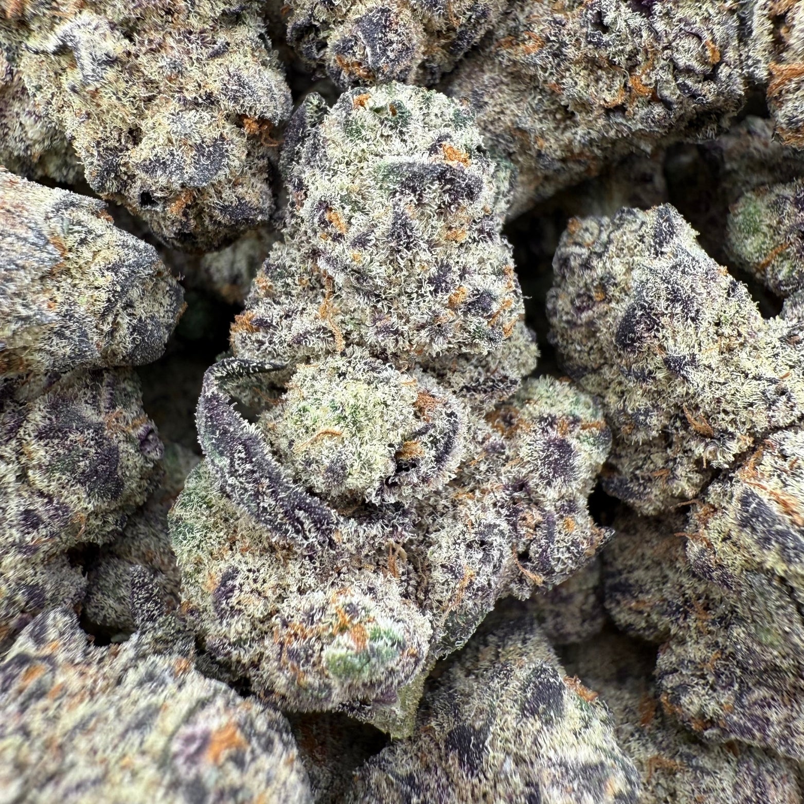 Juicy Fruit  (Wholesale)
