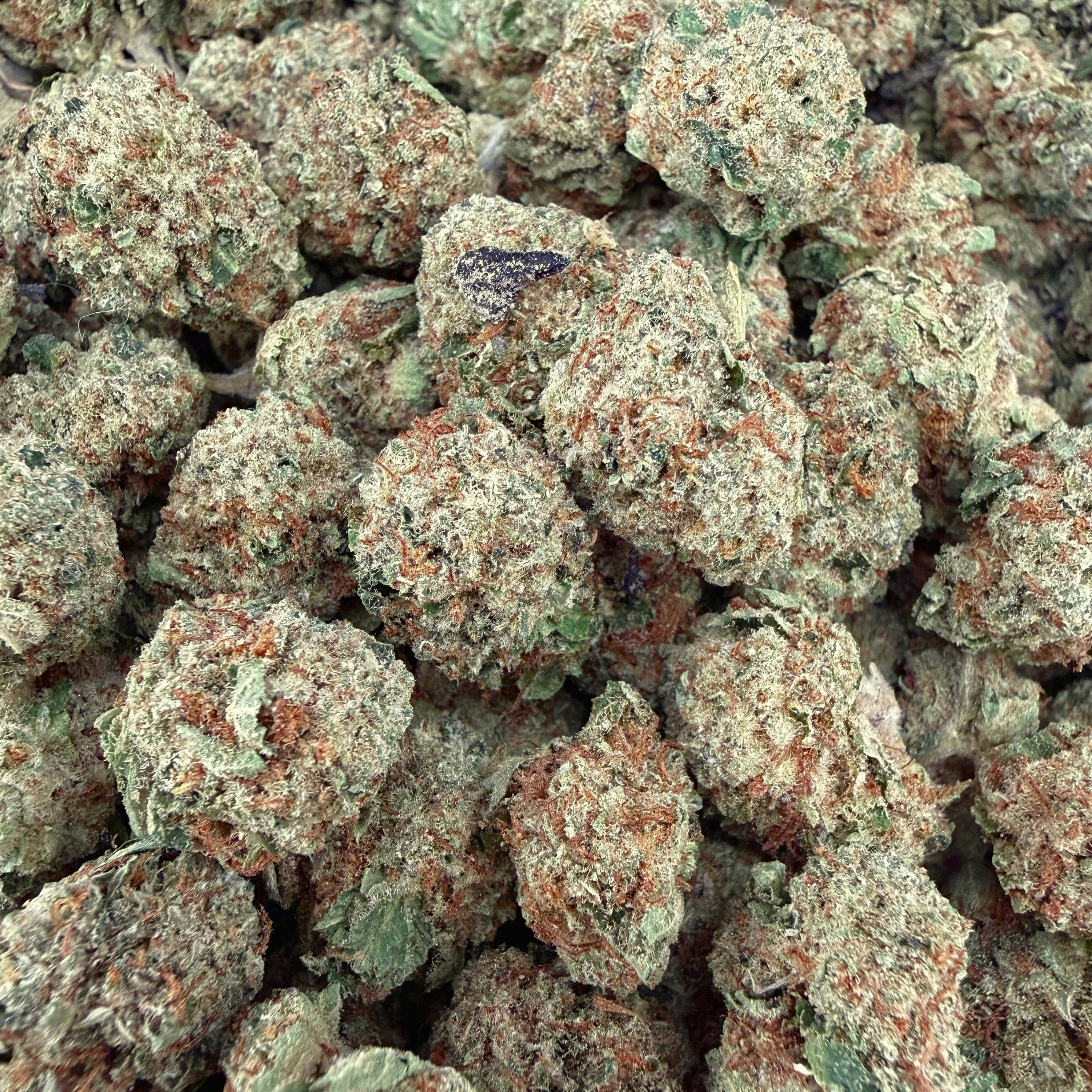 Key Lime Pie THCa Smalls