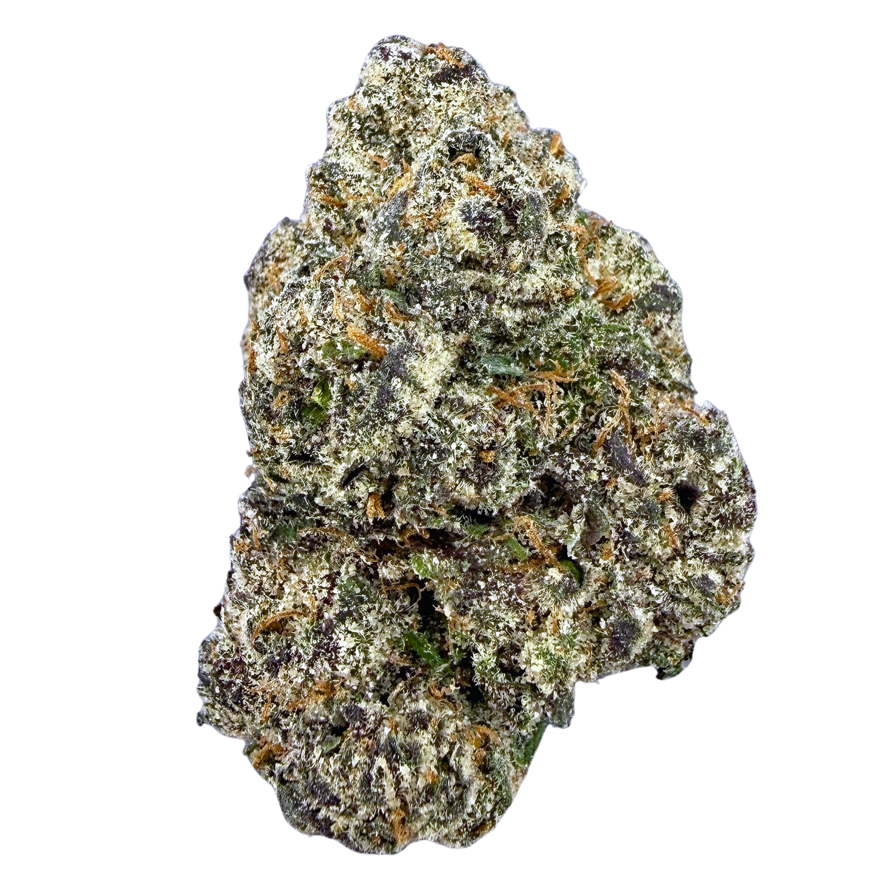 BOGO Bulk: Buy HP get QP 🍃LA Pop Rock