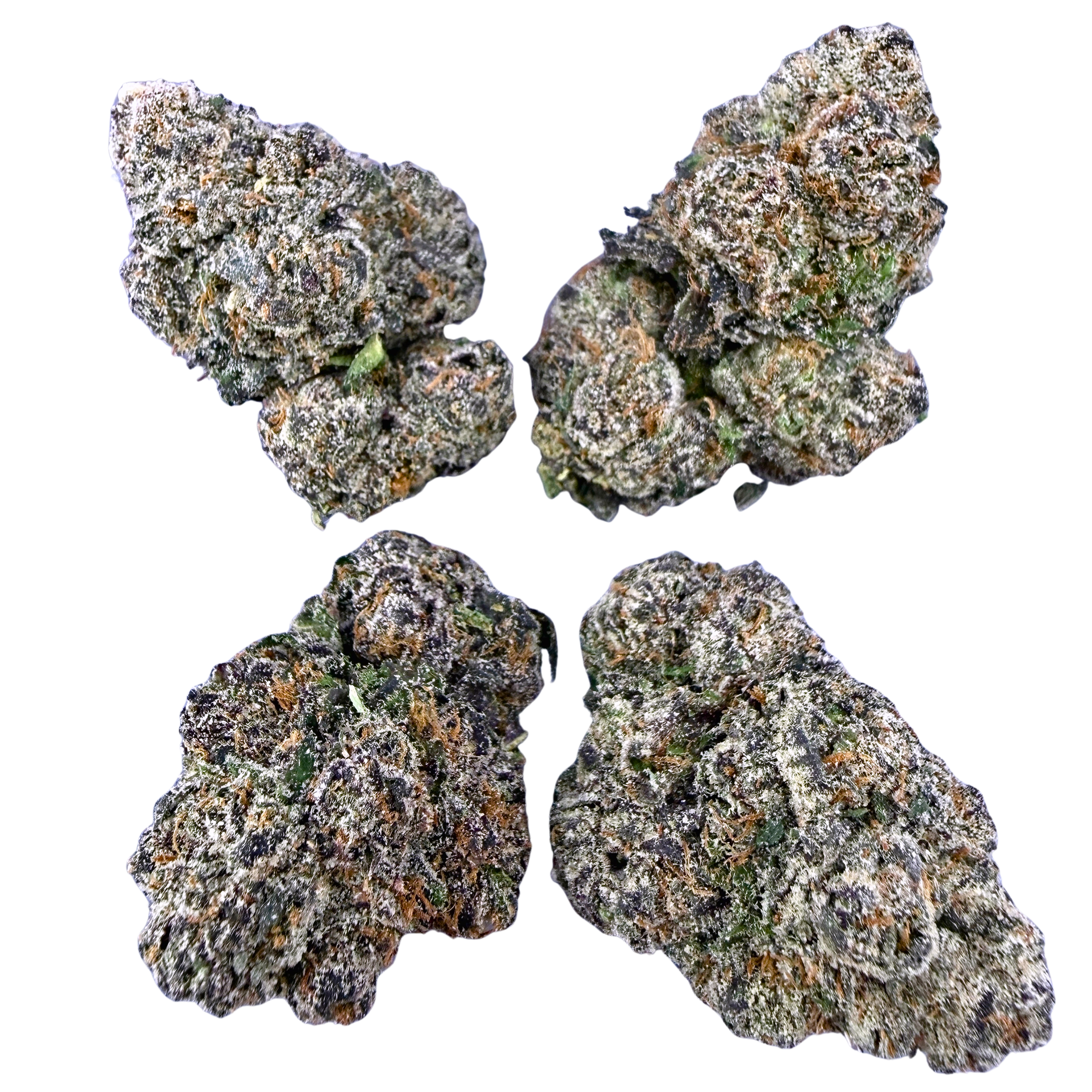 BOGO Bulk: Buy HP get QP 🍃LA Pop Rock